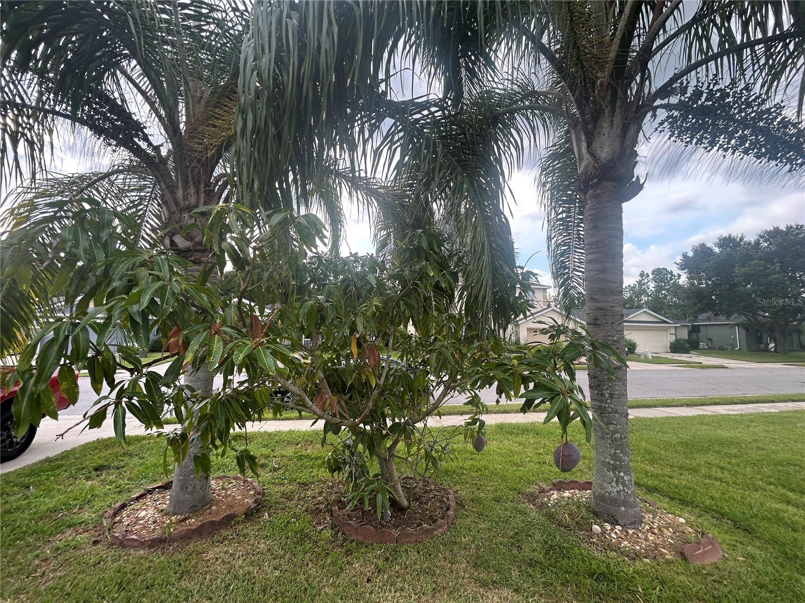 Image 6 of 32 For 3999 Whistlewood Circle