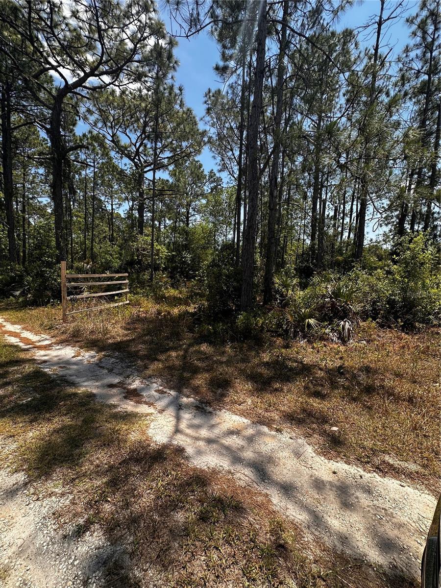 Image 10 of 21 For 730 Mcclellan Road