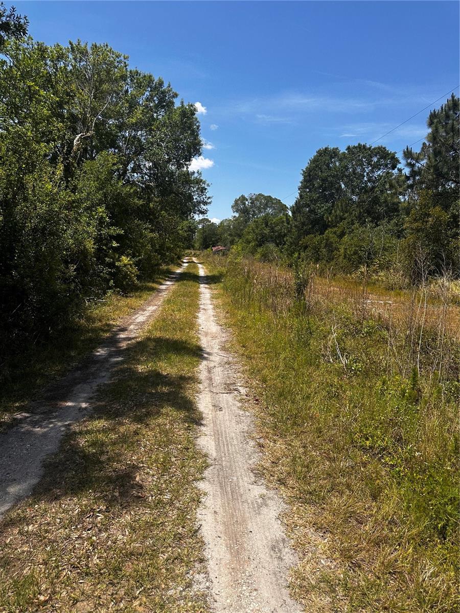 Image 6 of 21 For 730 Mcclellan Road