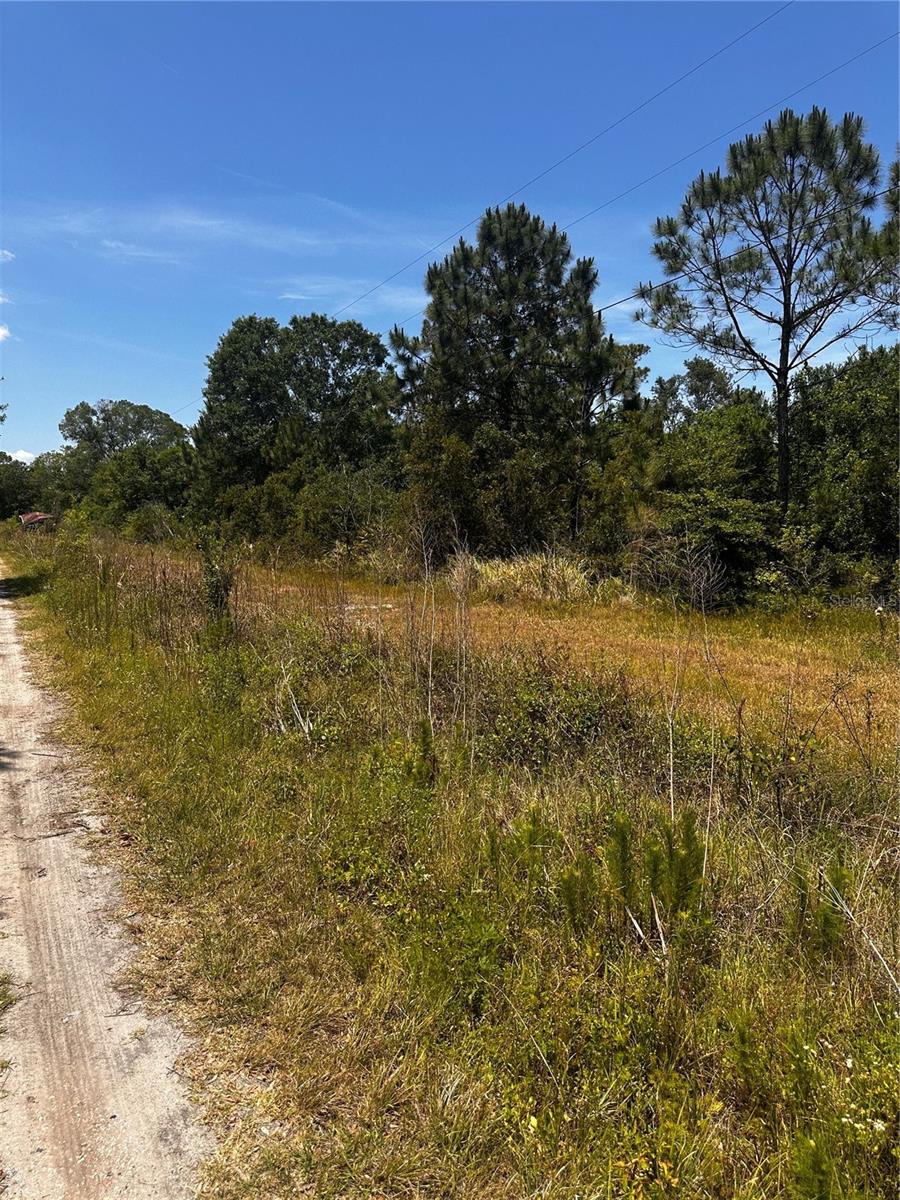 Image 7 of 21 For 730 Mcclellan Road