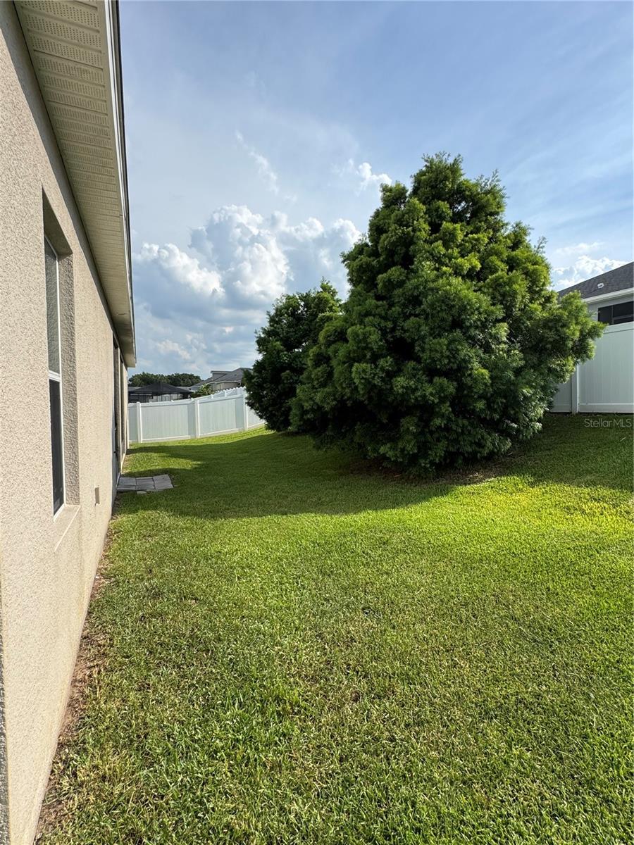 Image 56 of 63 For 5829 Valentino Way