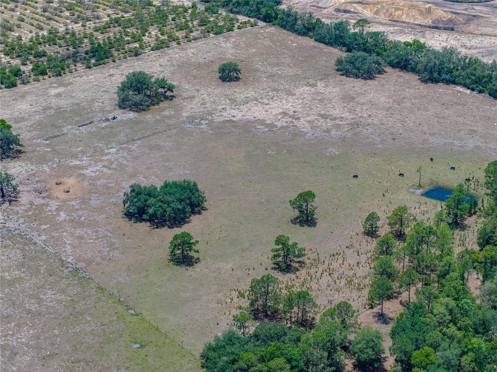 Image 16 of 58 For 10790 Jim Edwards Road