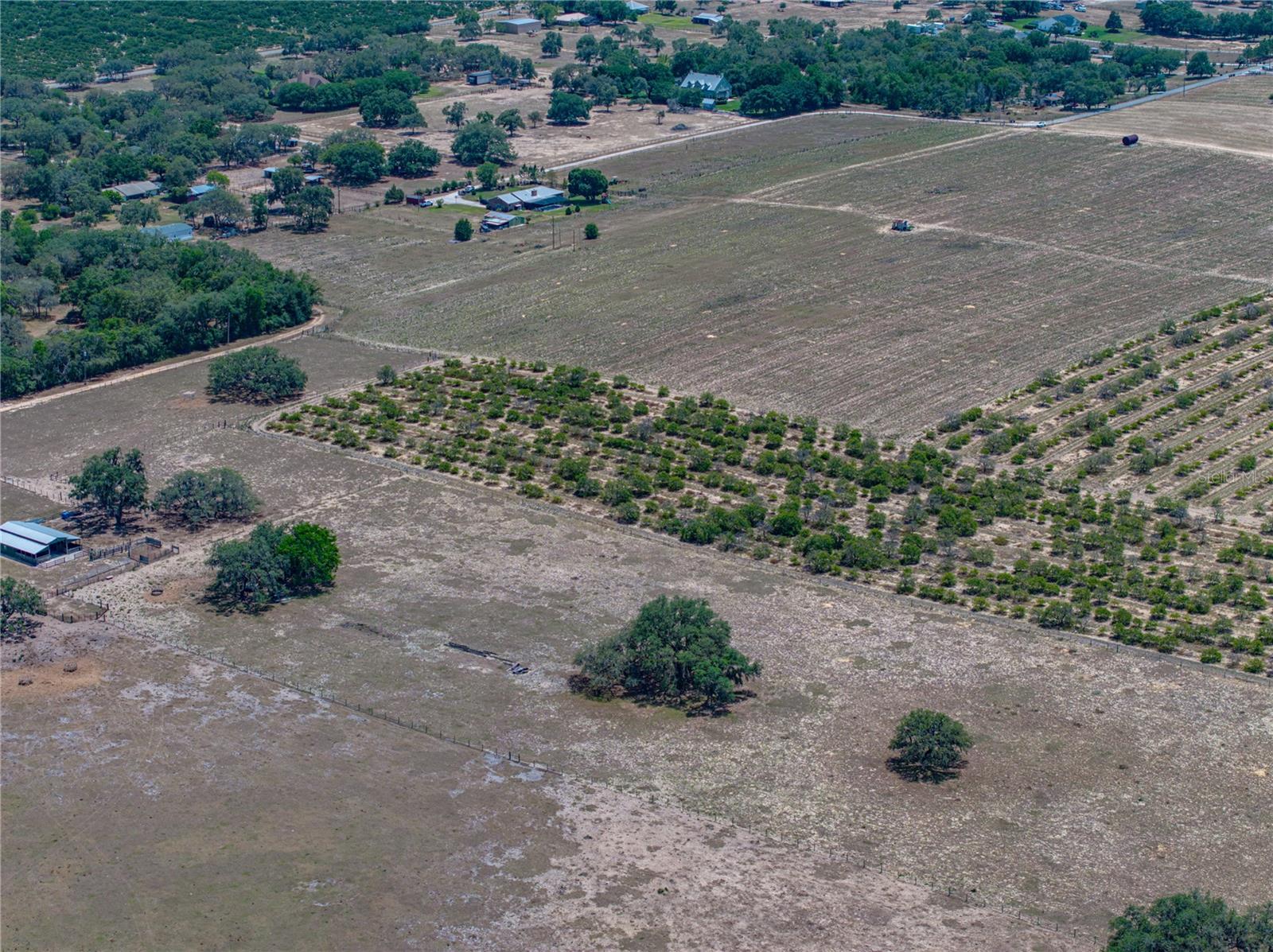 Image 24 of 58 For 10790 Jim Edwards Road