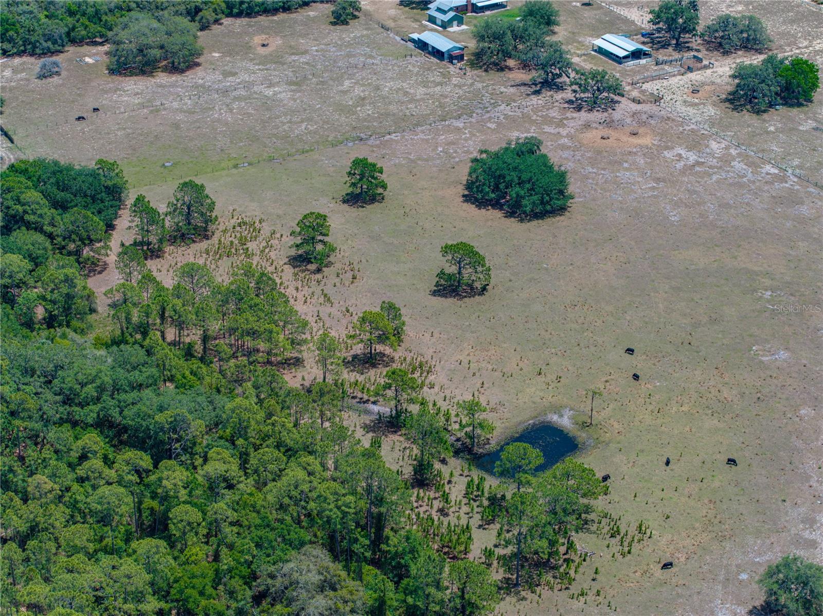 Image 27 of 58 For 10790 Jim Edwards Road