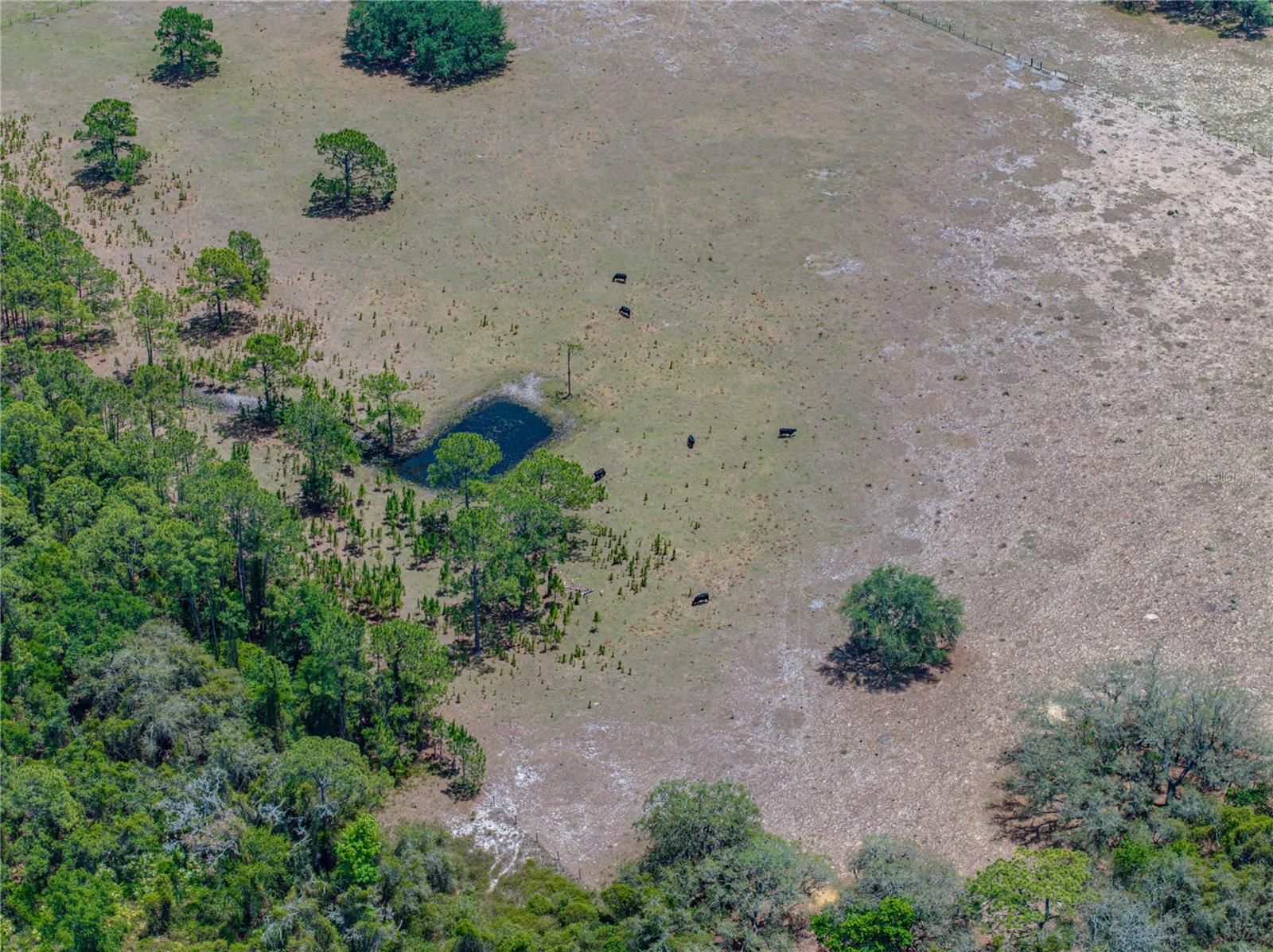 Image 28 of 58 For 10790 Jim Edwards Road