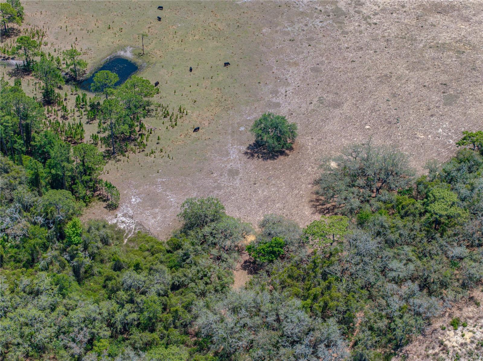 Image 29 of 58 For 10790 Jim Edwards Road