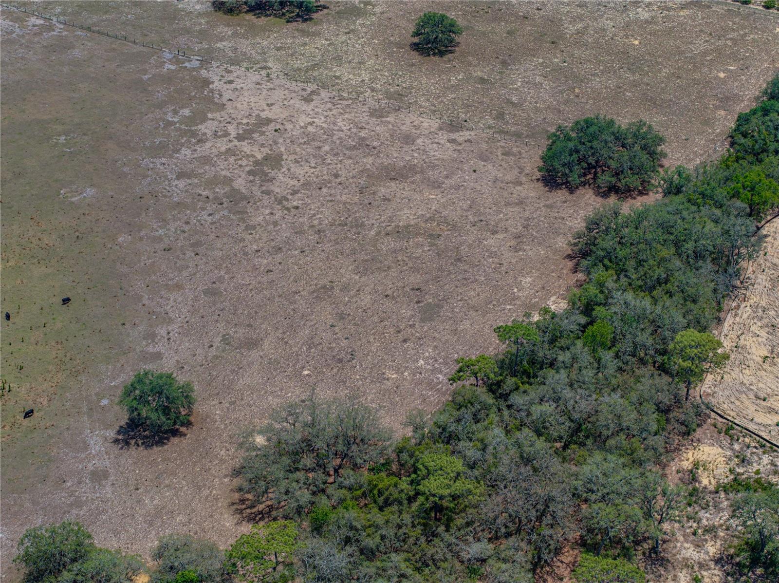 Image 30 of 58 For 10790 Jim Edwards Road