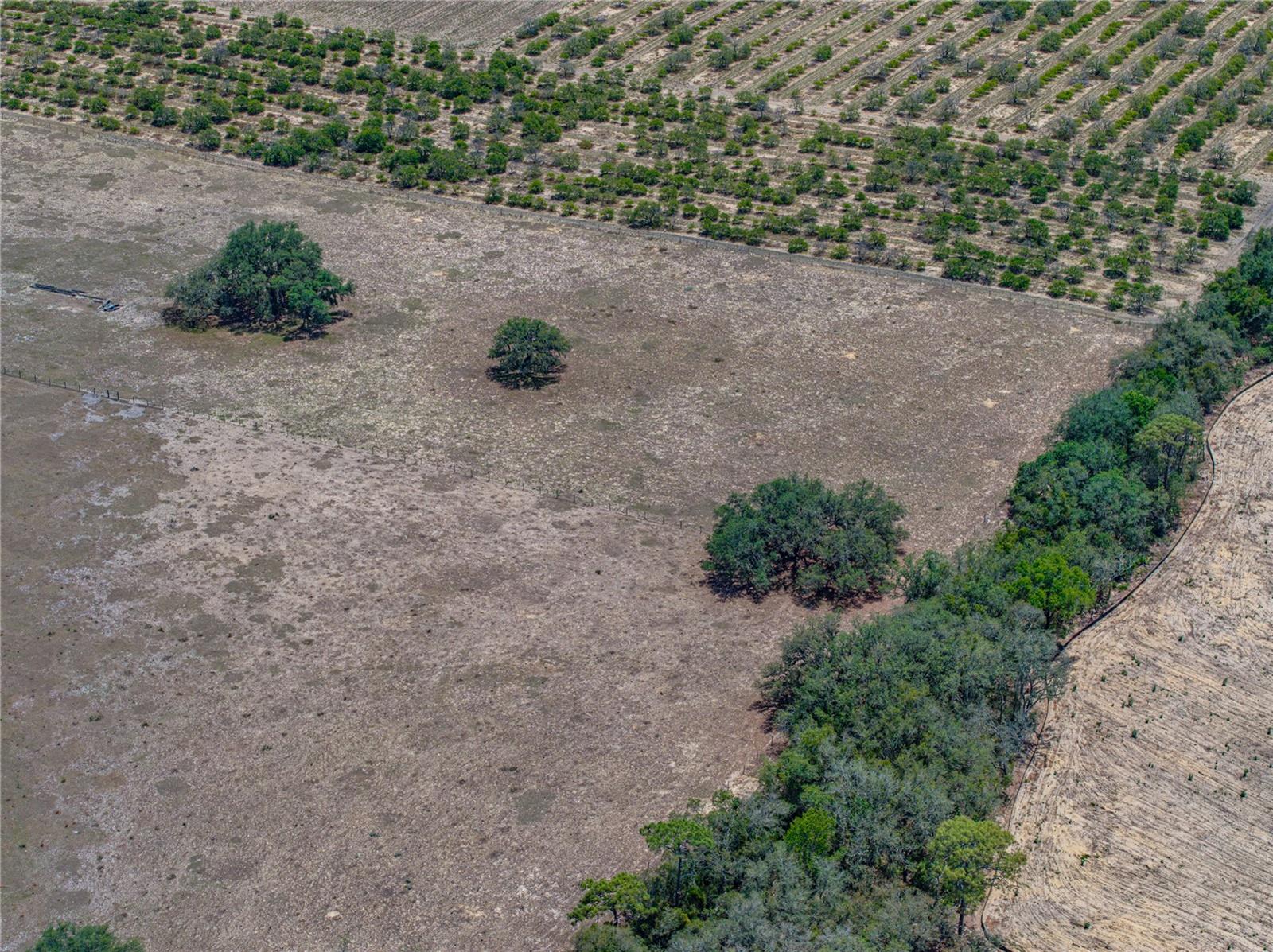 Image 31 of 58 For 10790 Jim Edwards Road