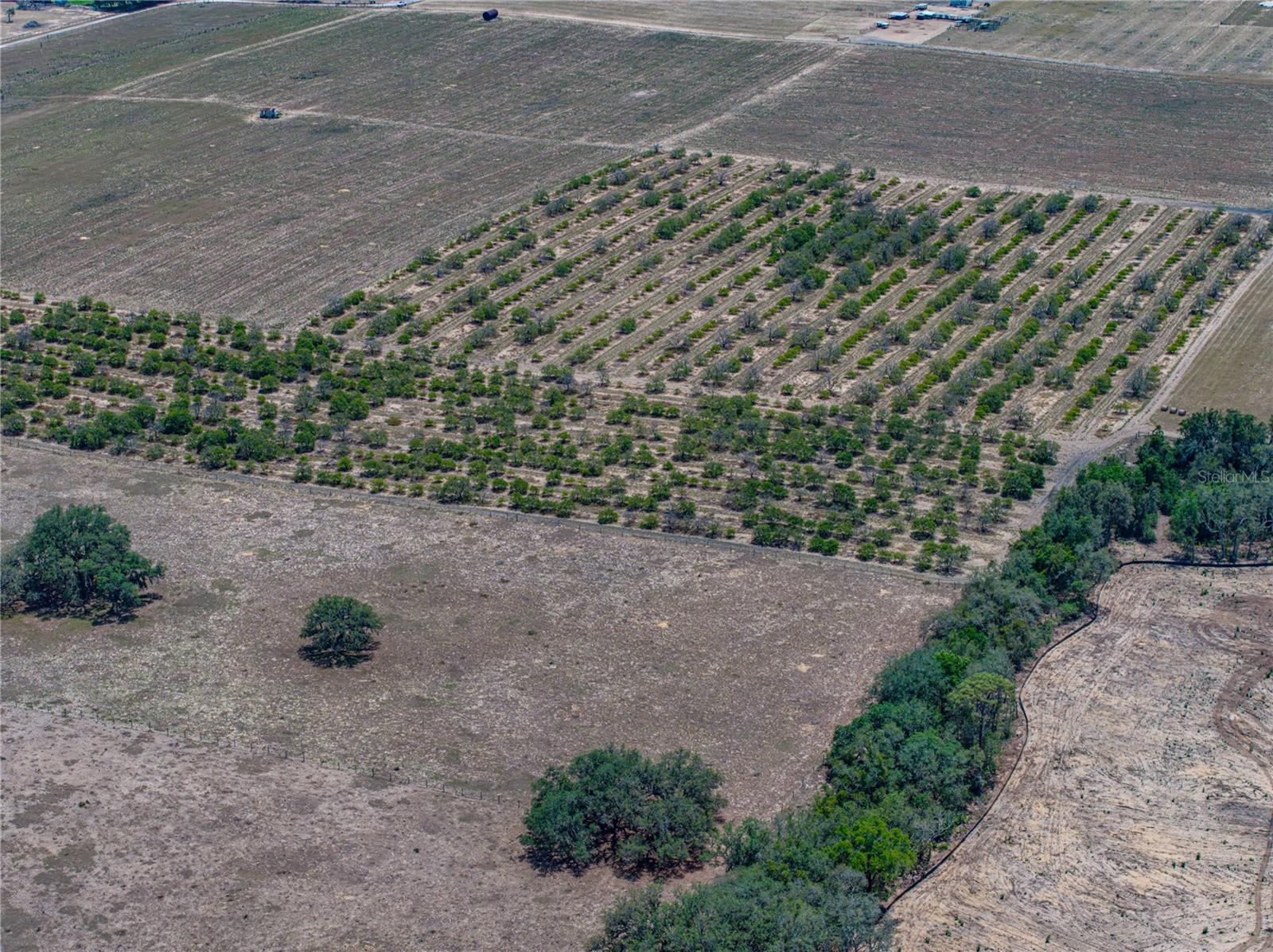 Image 32 of 58 For 10790 Jim Edwards Road