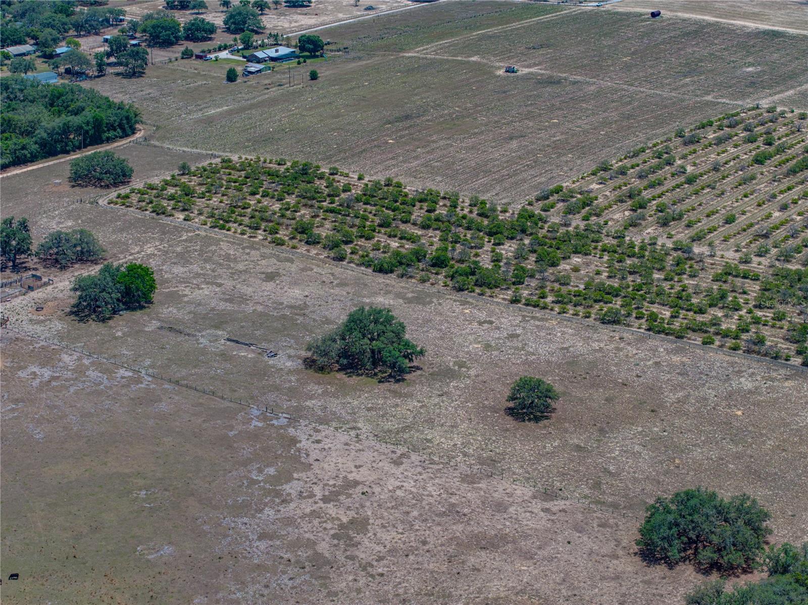 Image 33 of 58 For 10790 Jim Edwards Road