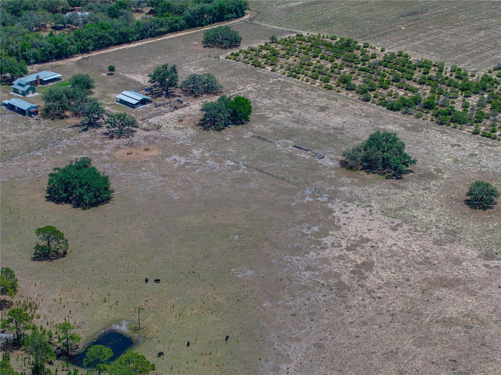 Image 34 of 58 For 10790 Jim Edwards Road