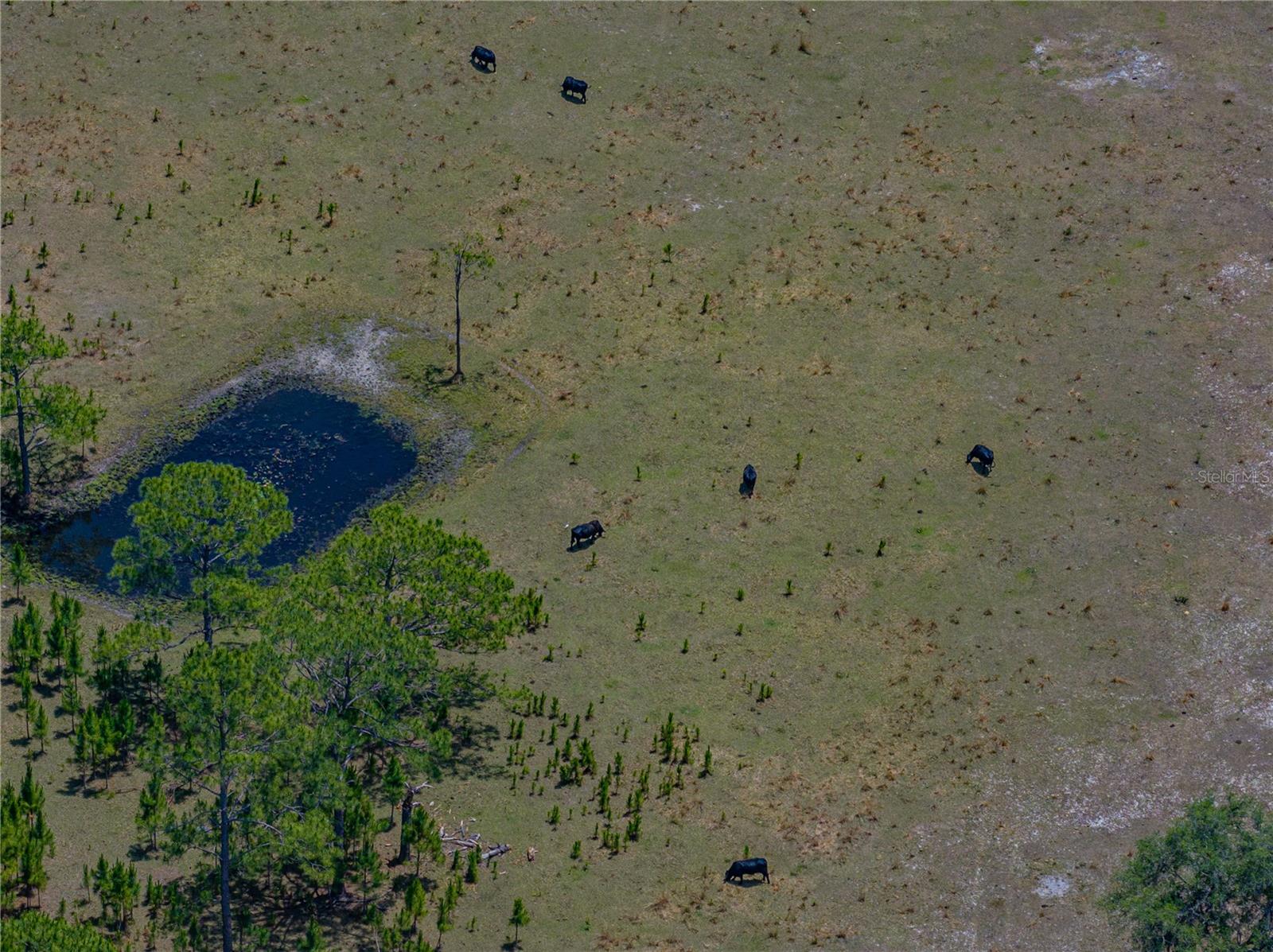 Image 35 of 58 For 10790 Jim Edwards Road