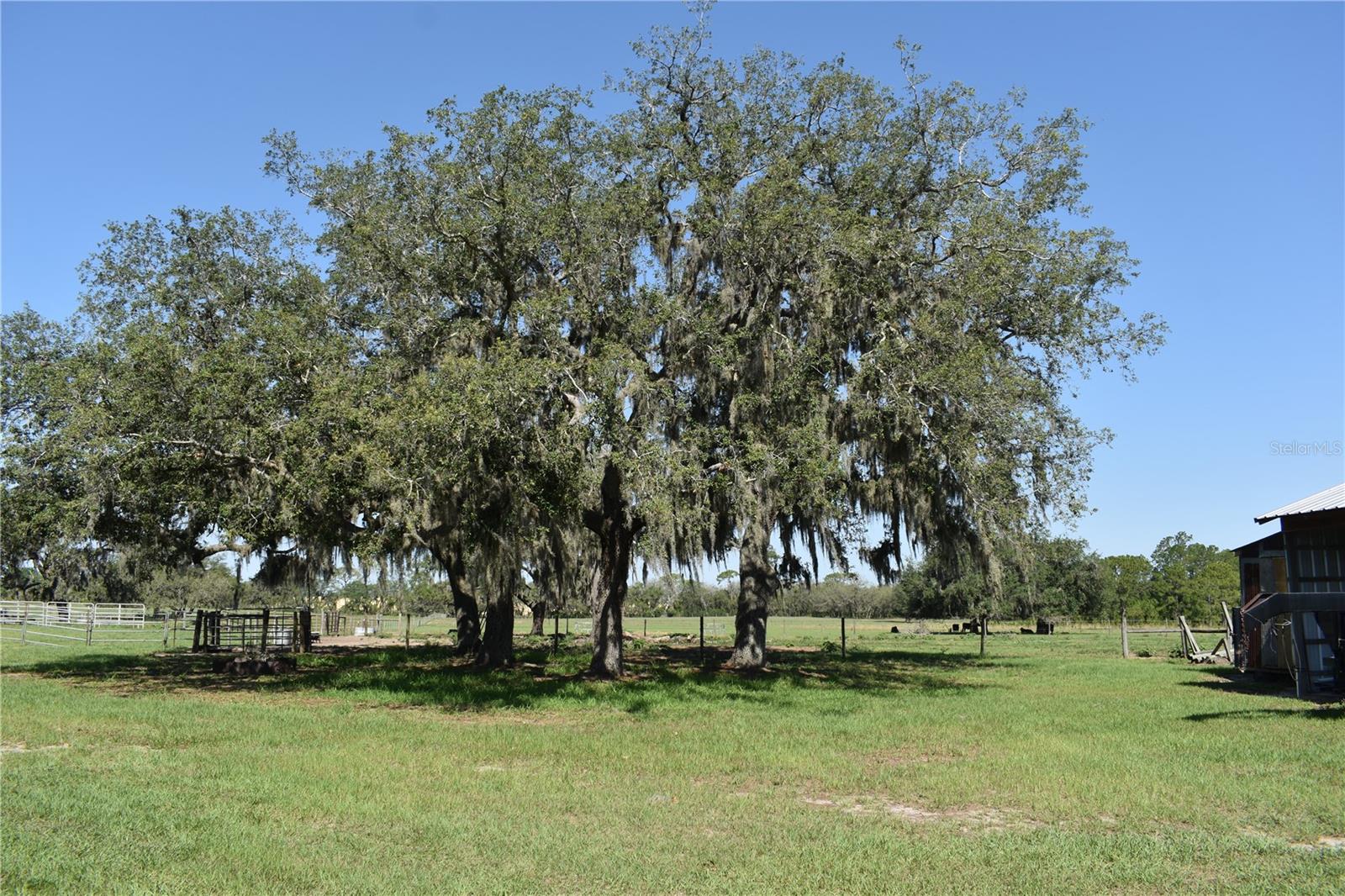 Image 39 of 58 For 10790 Jim Edwards Road