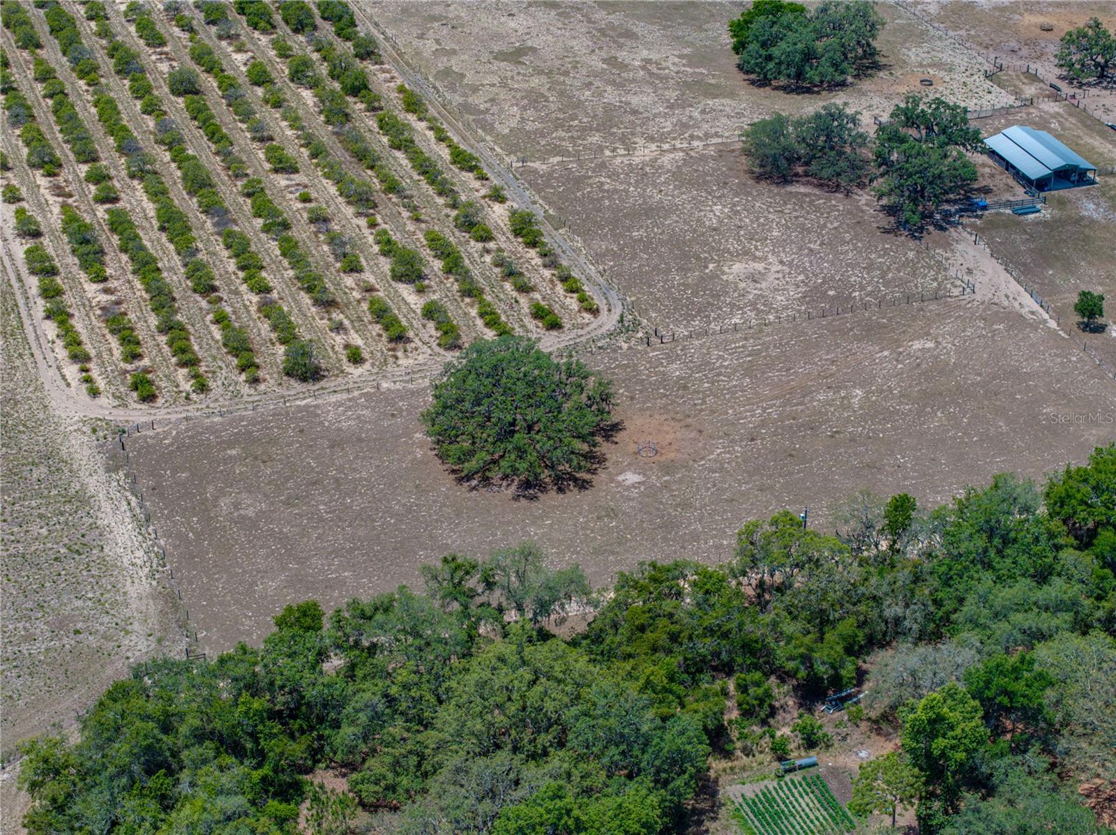 Image 8 of 58 For 10790 Jim Edwards Road