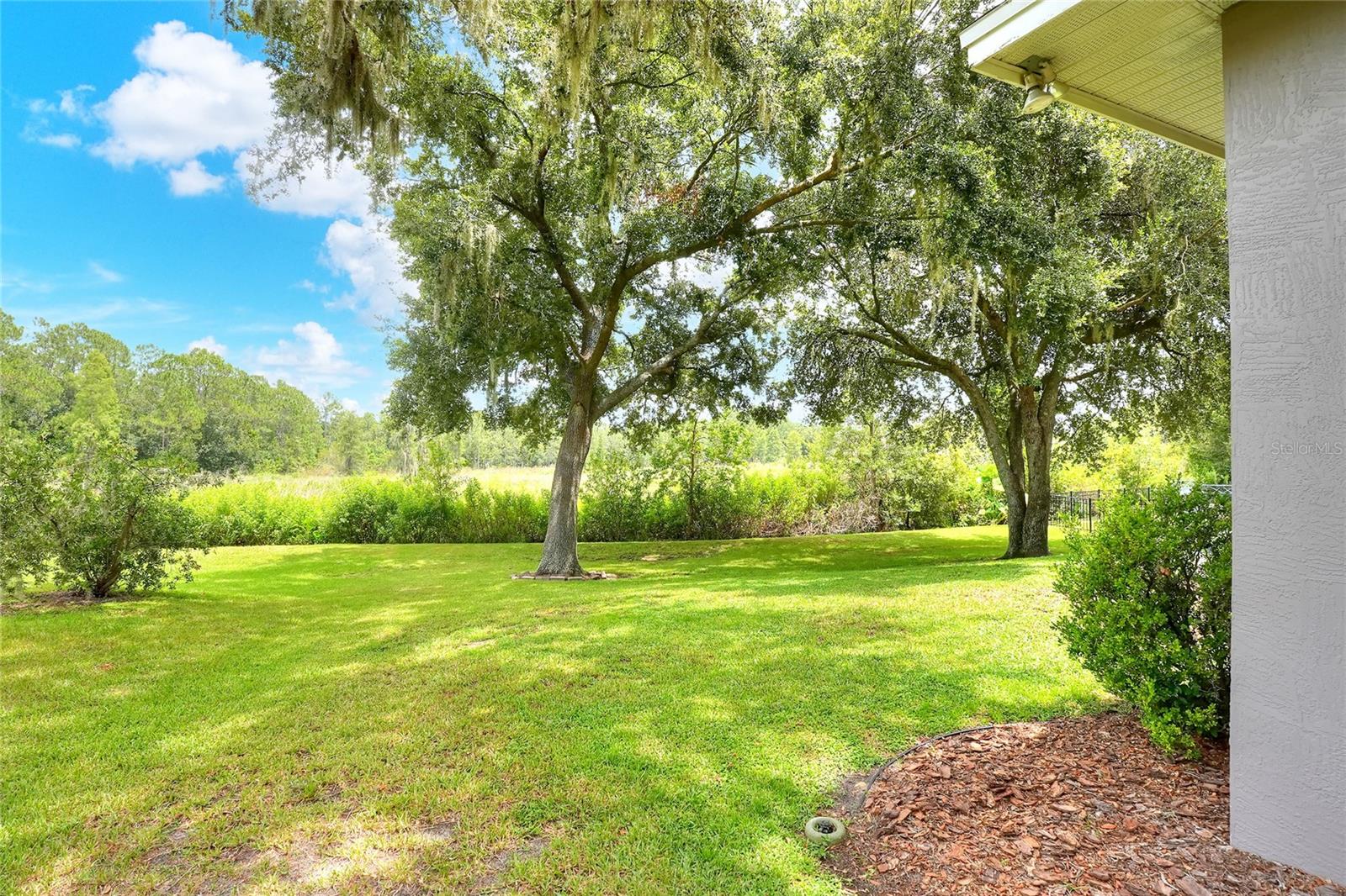 Image 37 of 47 For 1685 Kinsman Way