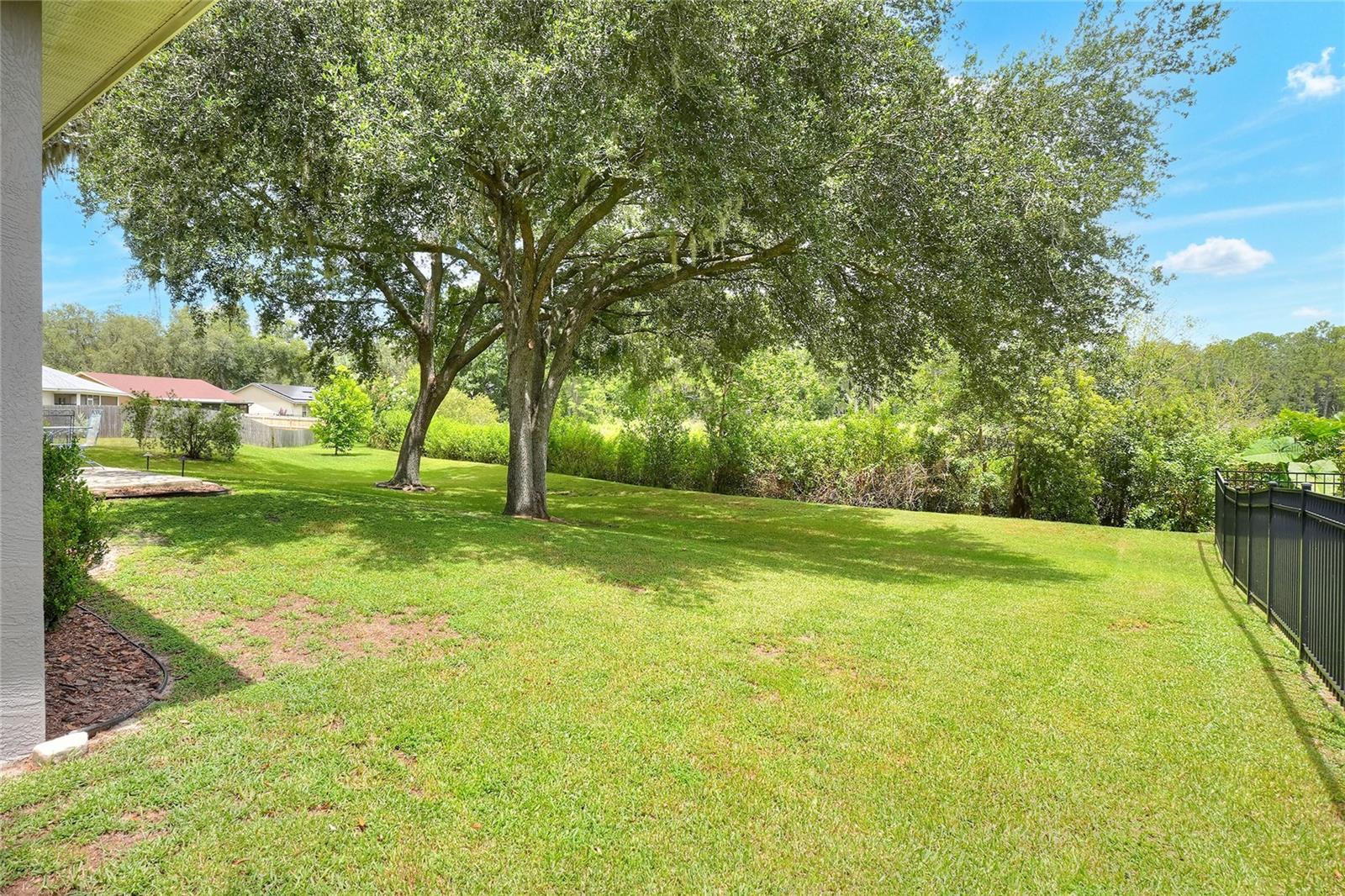 Image 39 of 47 For 1685 Kinsman Way