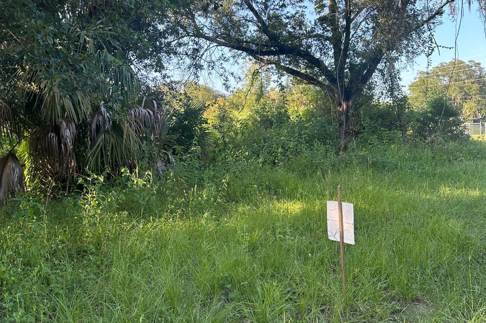 Image 2 of 8 For 0 Butler Avenue