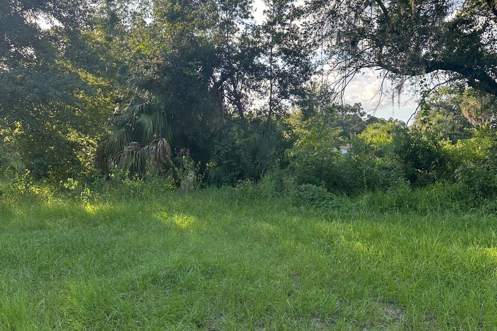 Image 6 of 8 For 0 Butler Avenue