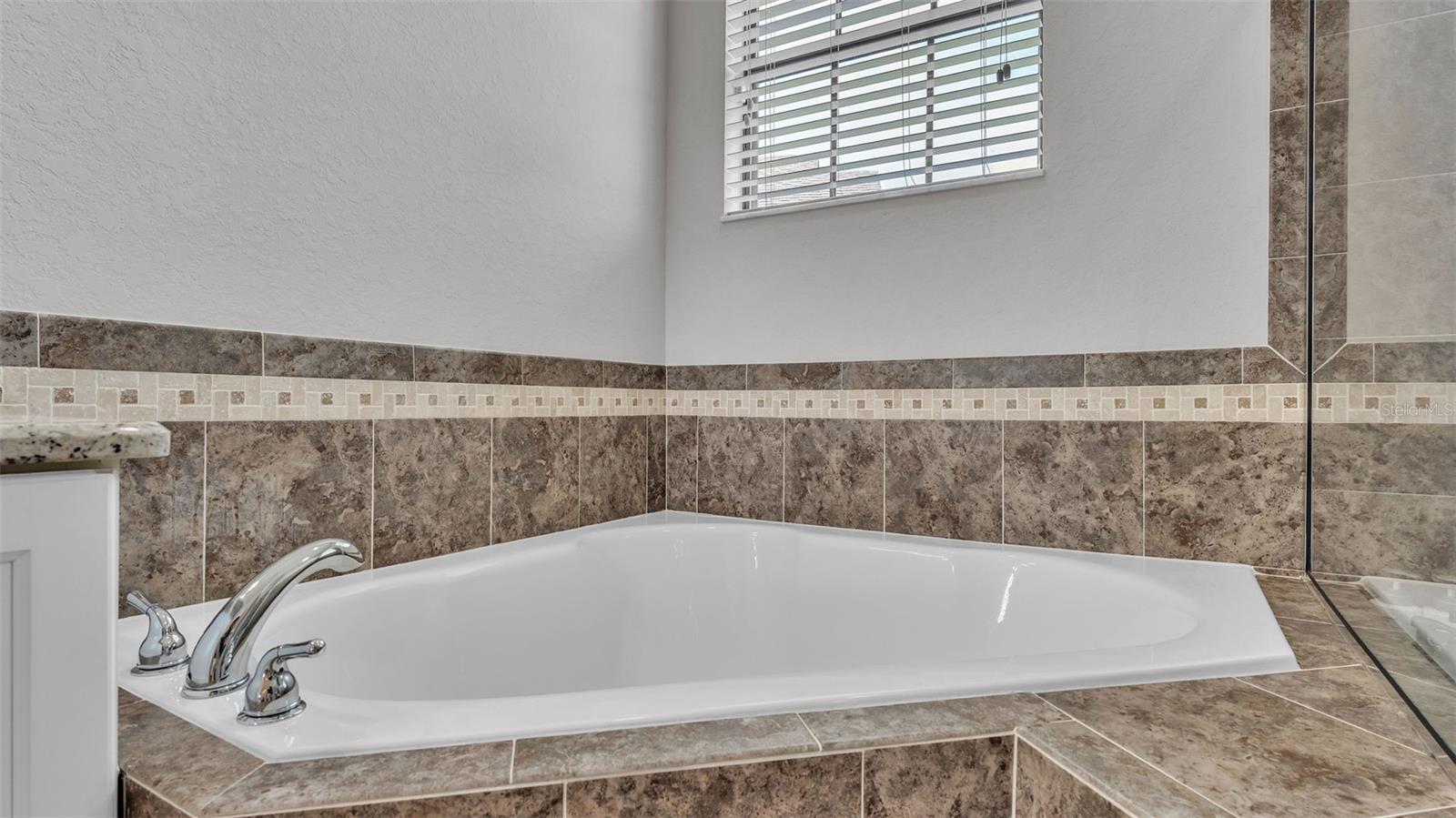 Image 22 of 71 For 1455 Silver Leaf Drive