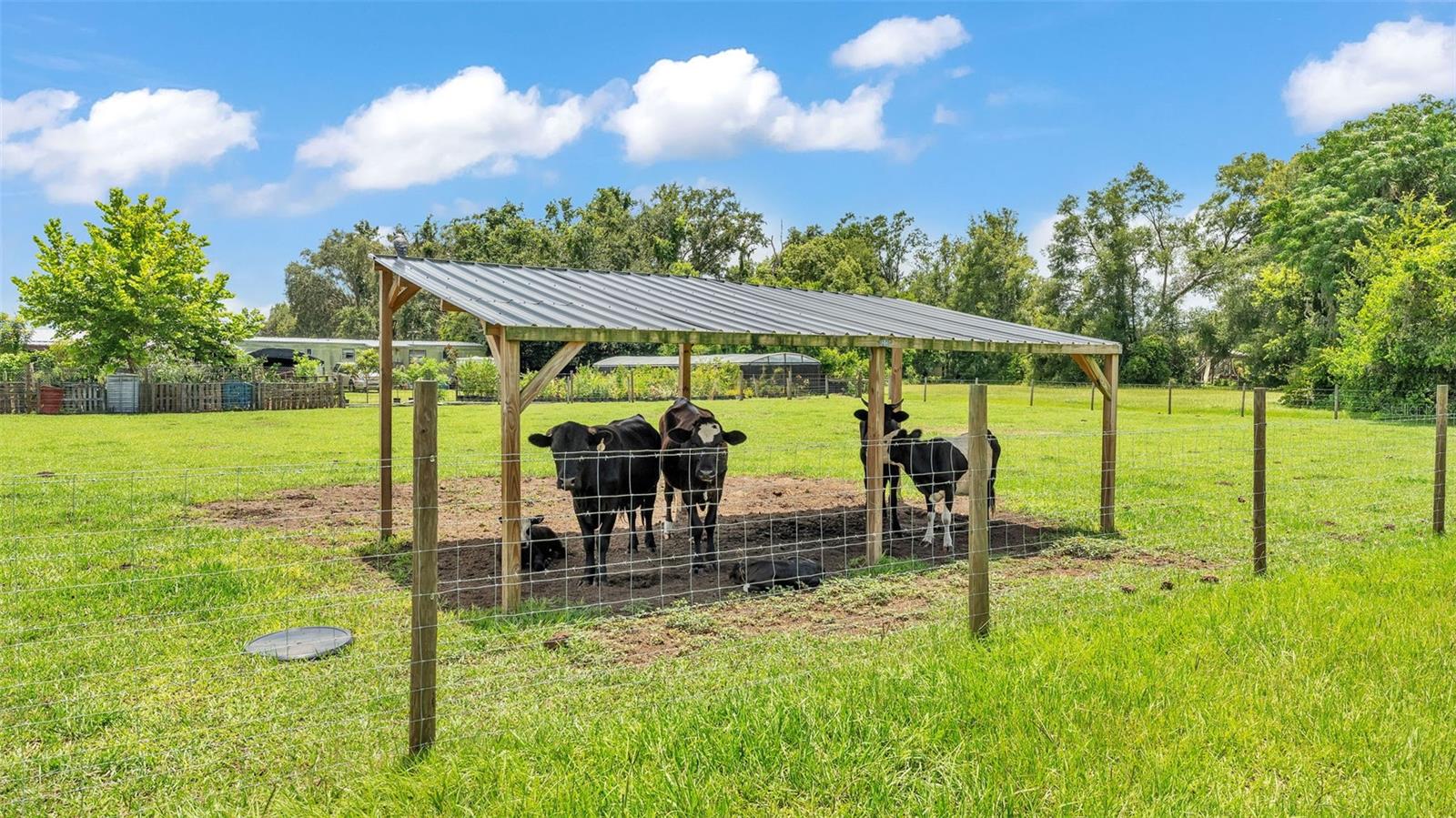 Image 69 of 89 For 2509 Williams Road