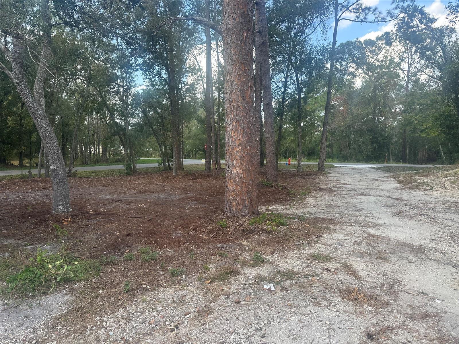 Image 13 of 13 For 1525 Slash Pine Road