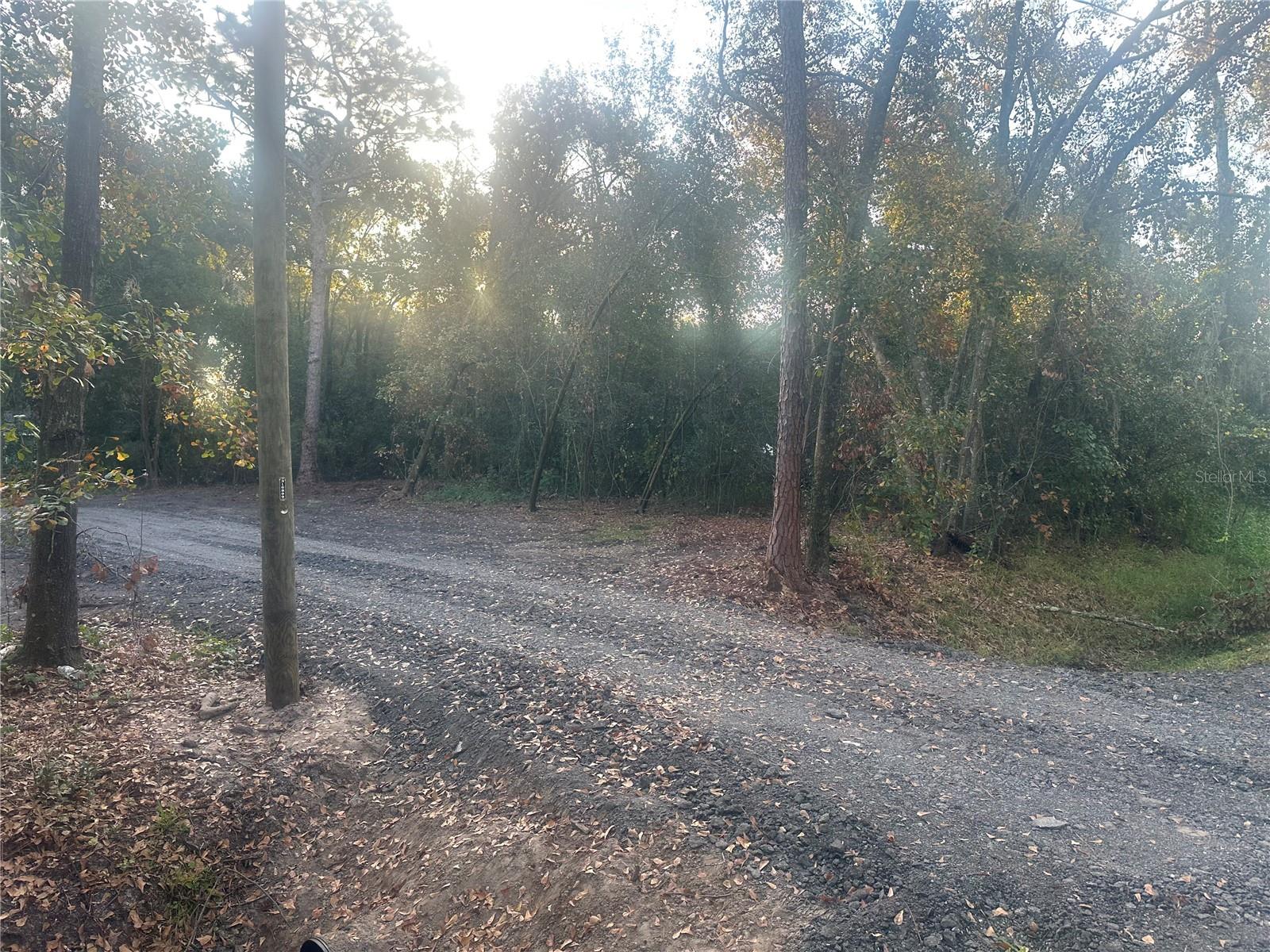 Image 14 of 16 For 1525 Slash Pine Road