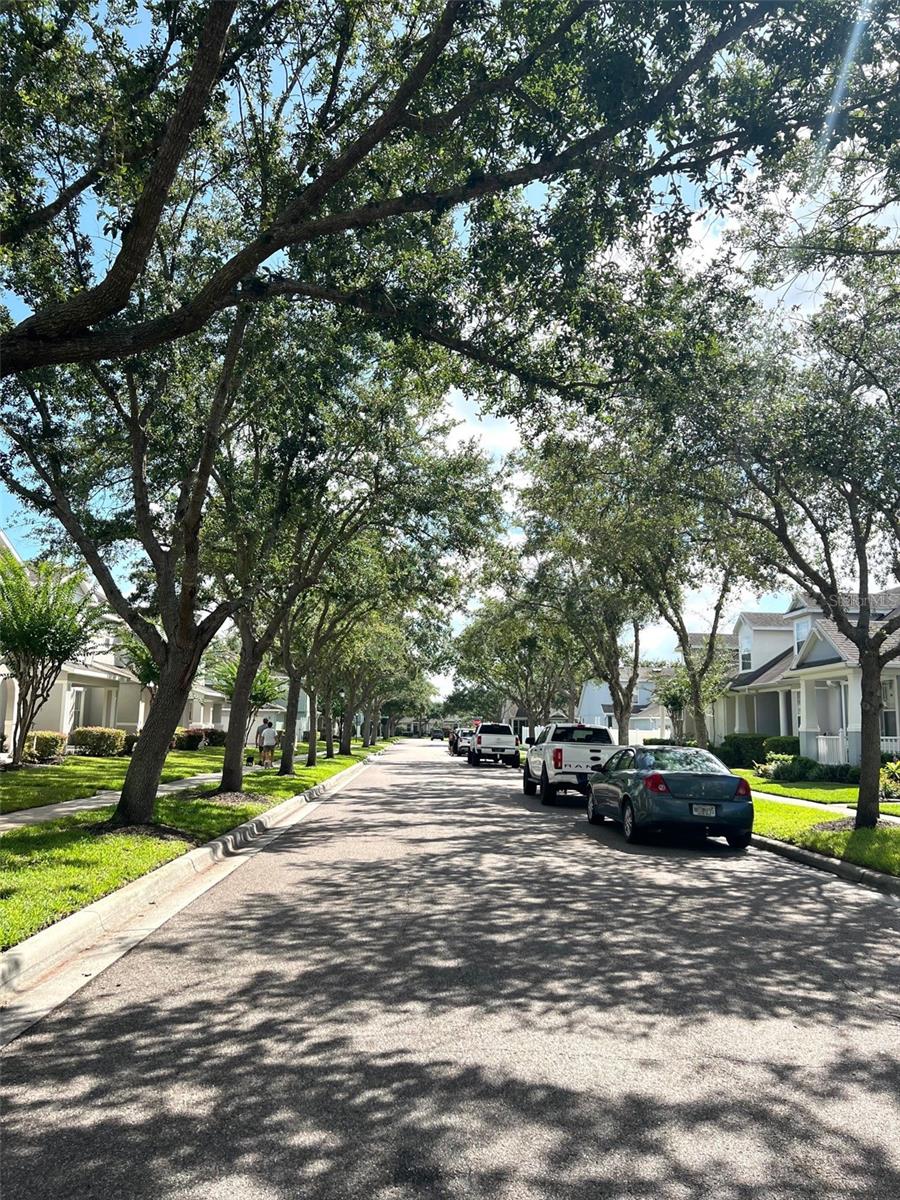 Image 5 of 7 For 14461 Chinese Elm Drive