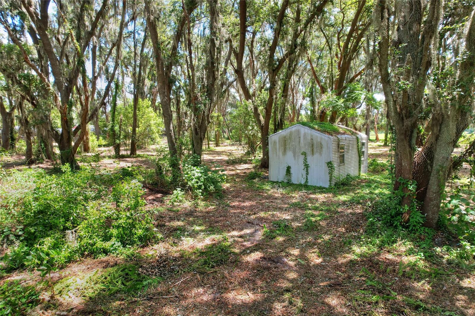 Image 66 of 71 For 8825 Selph Road