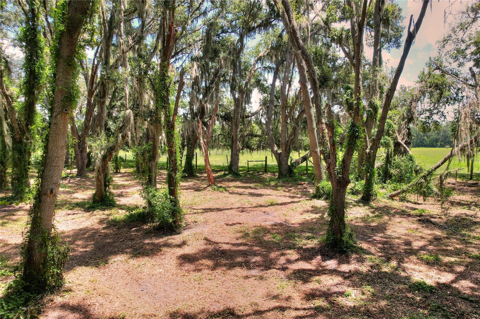 Image 69 of 71 For 8825 Selph Road