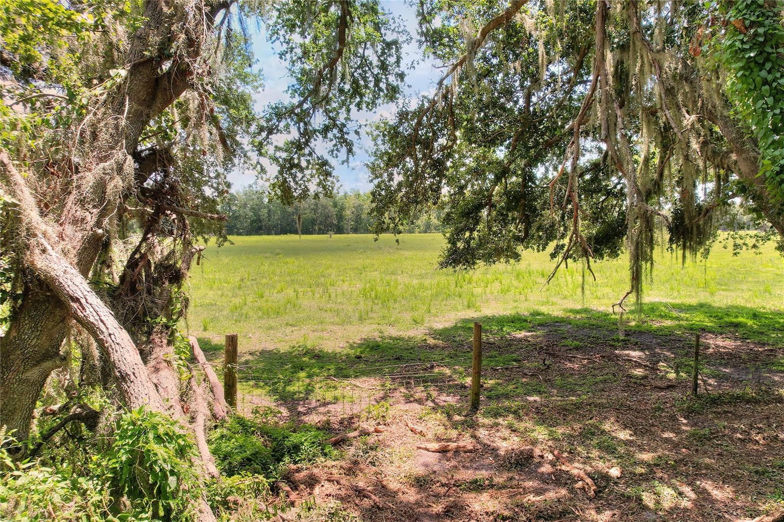 Image 70 of 71 For 8825 Selph Road