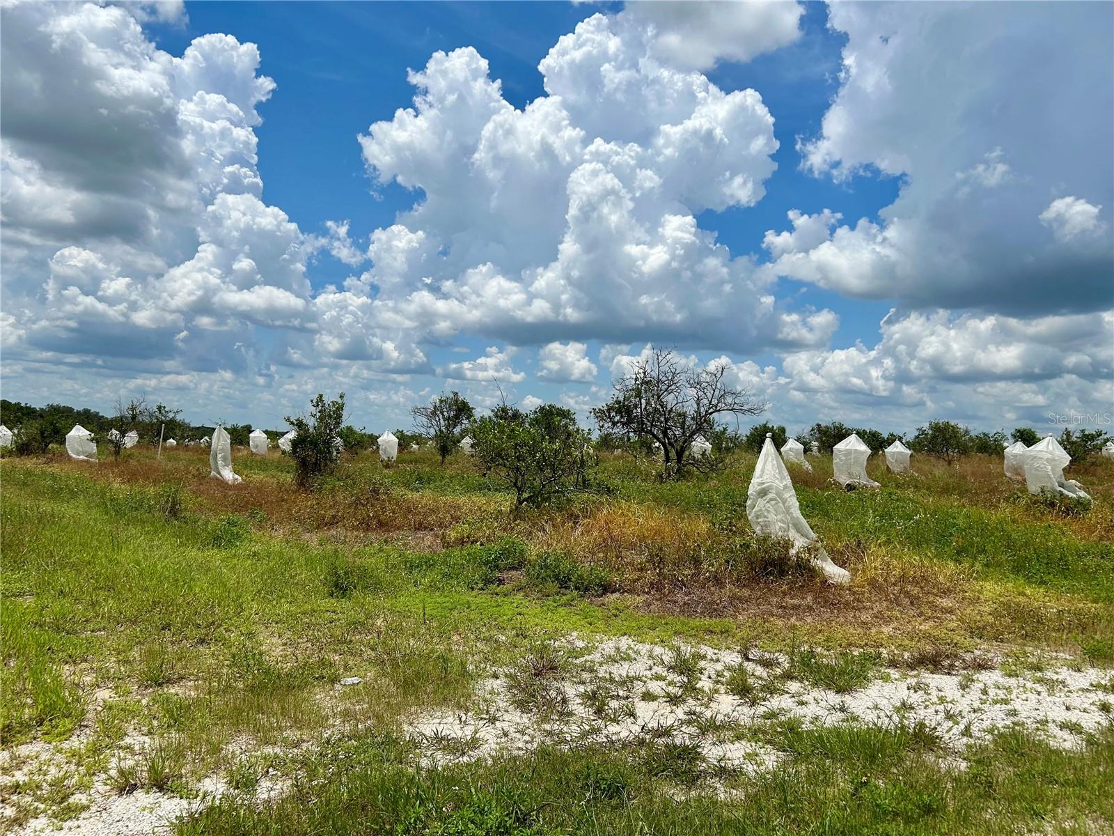 Details for 2600 Oak Island Road, AVON PARK, FL 33825