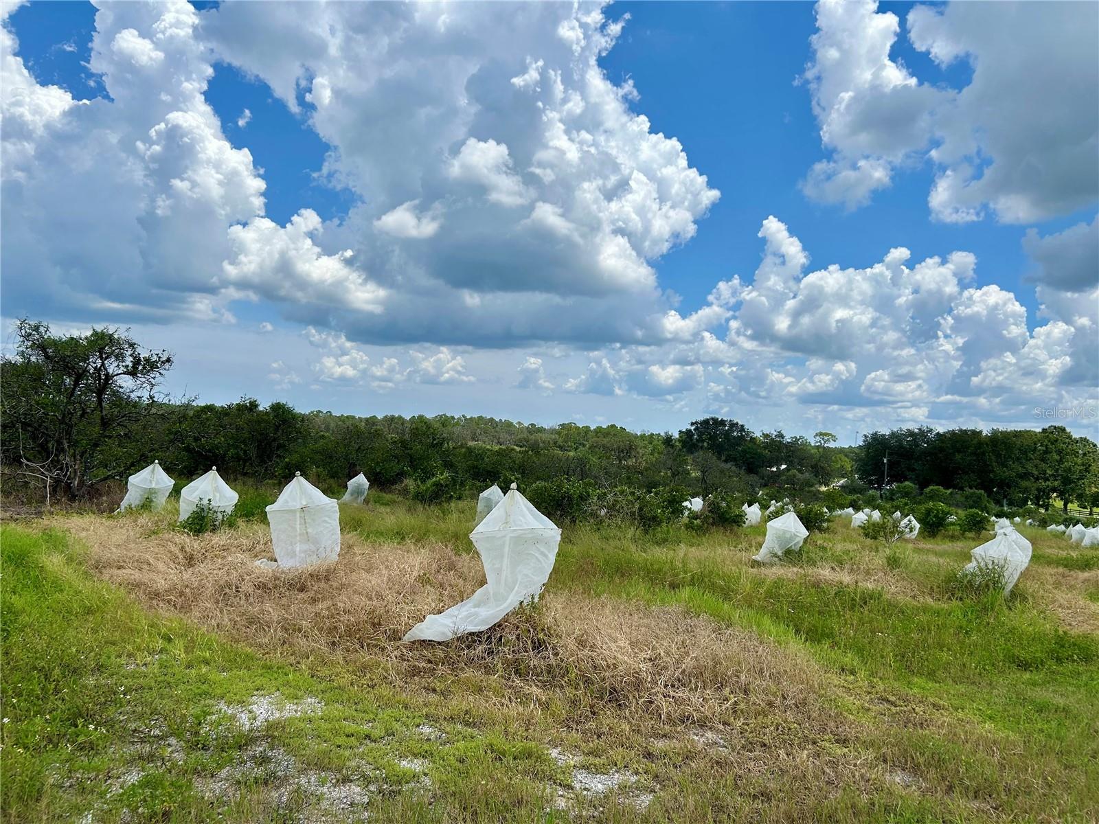 Image 2 of 14 For 2600 Oak Island Road