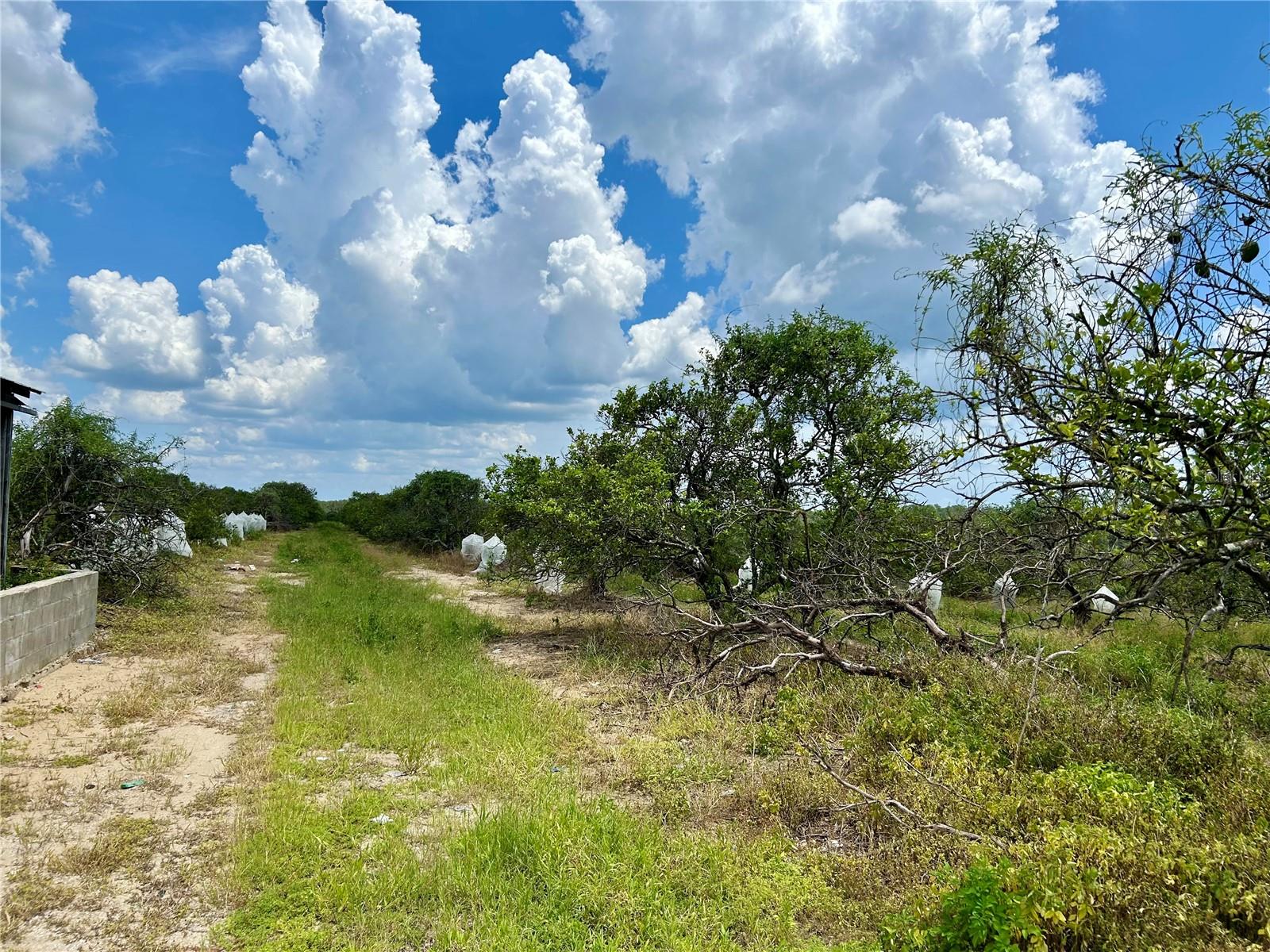 Image 6 of 14 For 2600 Oak Island Road