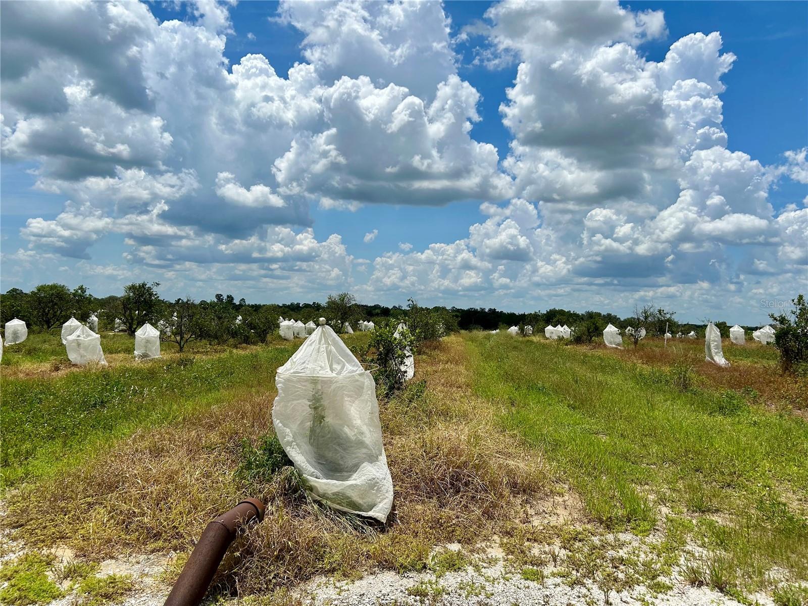 Image 7 of 14 For 2600 Oak Island Road