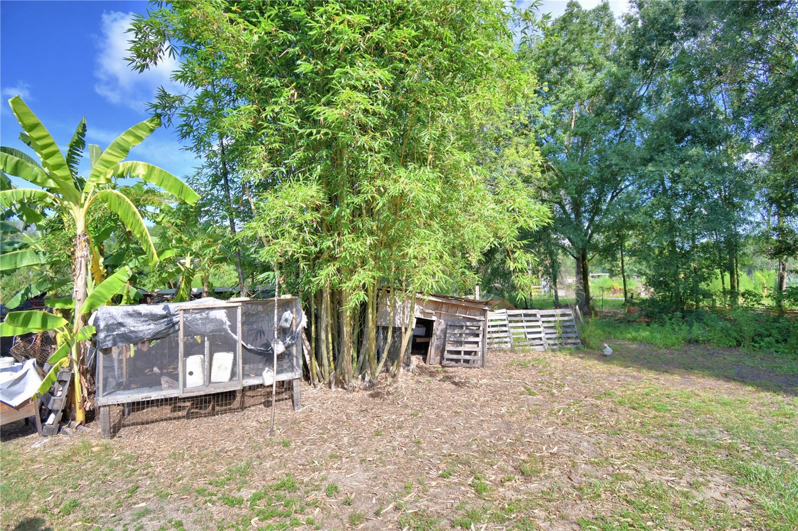 Image 45 of 57 For 12408 Farmettes Road