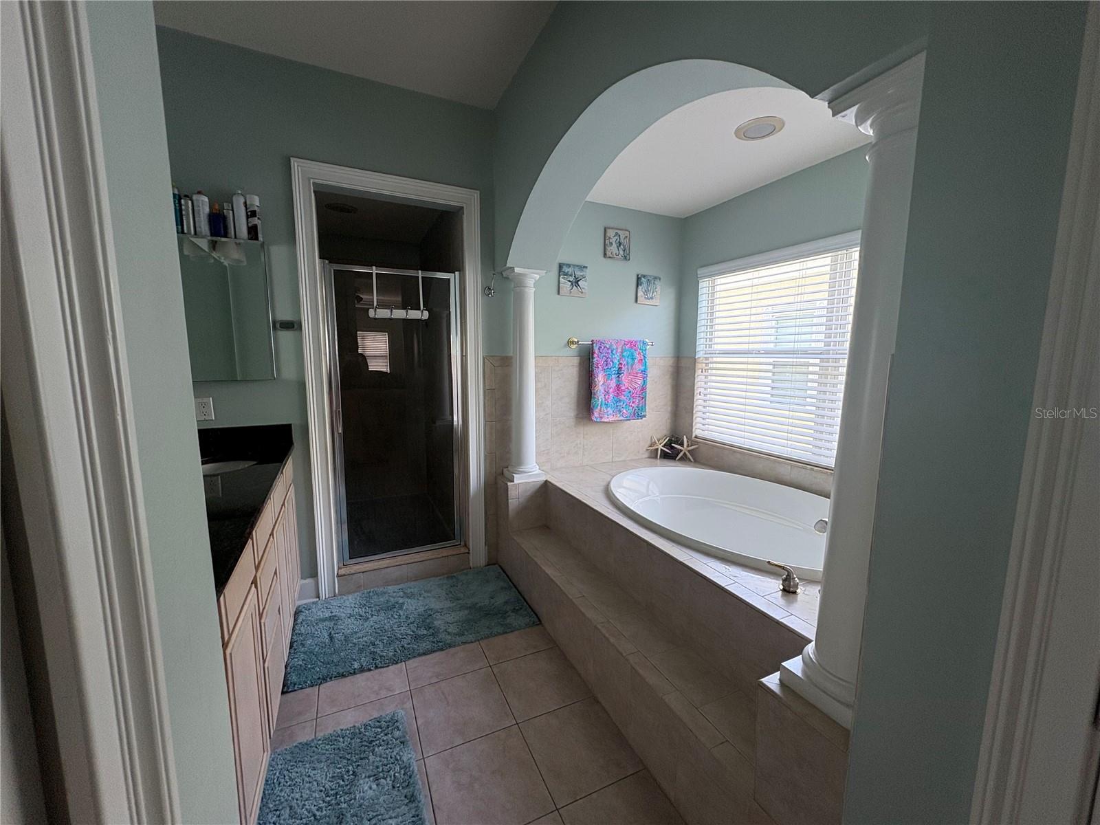 Image 31 of 48 For 6539 Simone Shores Circle