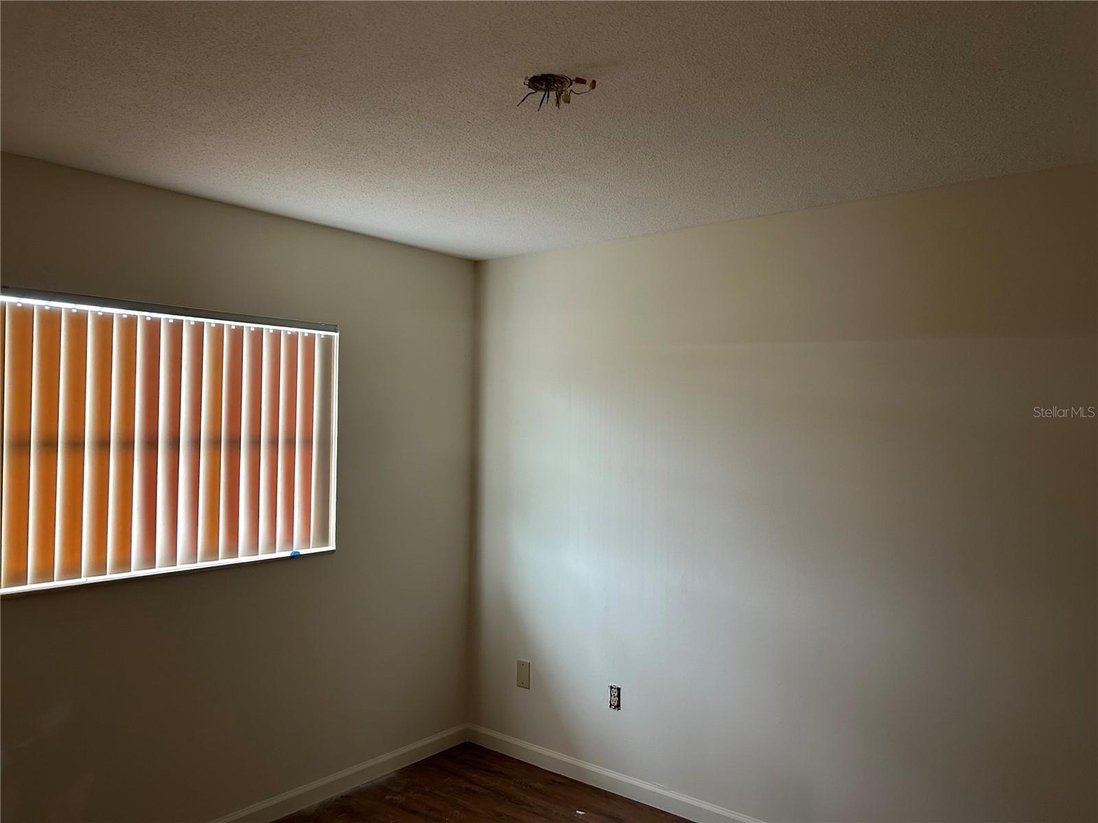 Image 8 of 10 For 131 Serenity Avenue