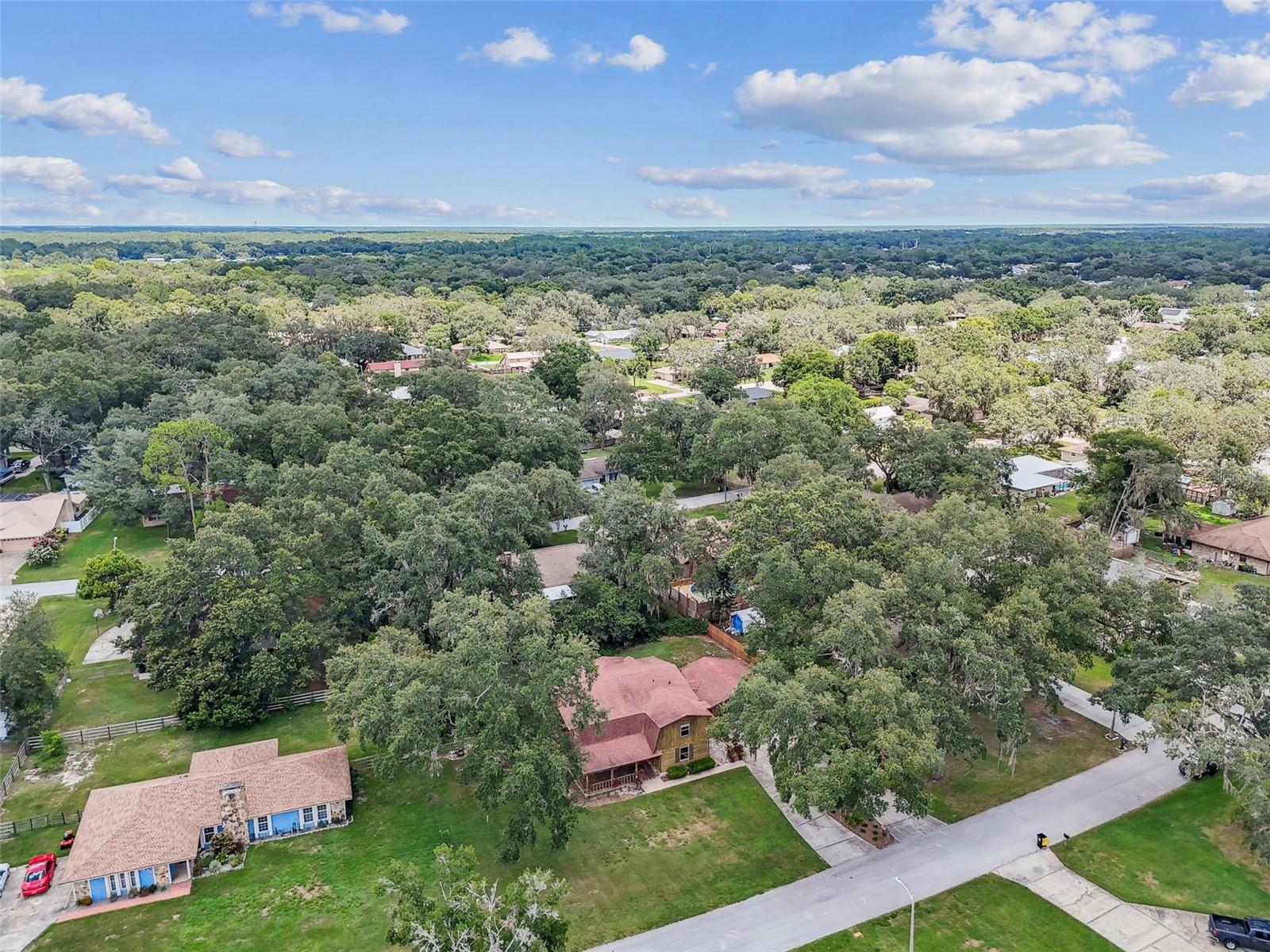 Image 77 of 85 For 1232 Ridgegreen Loop N