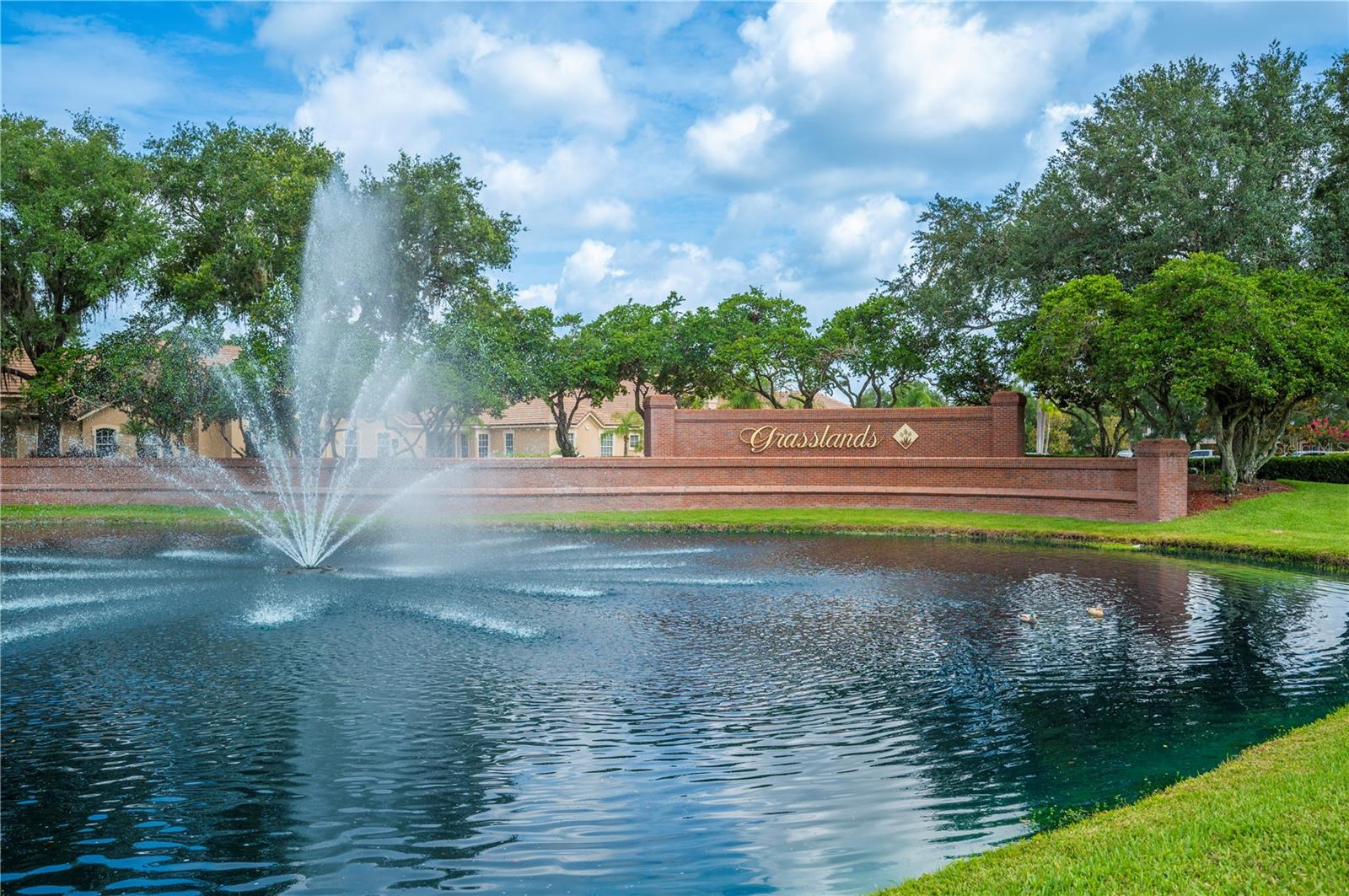 Image 45 of 56 For 532 Grasslands Village Circle N-a