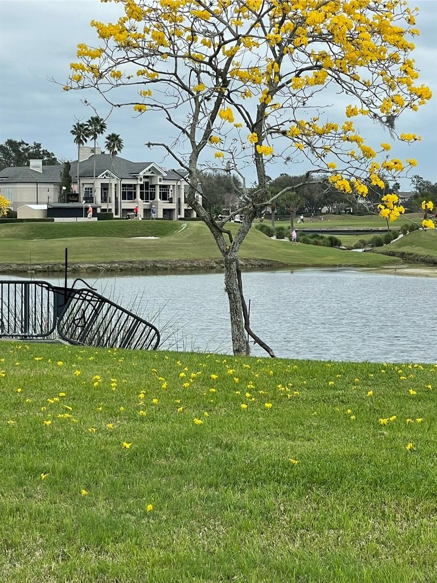 Image 37 of 38 For 2804 Prestwick Drive