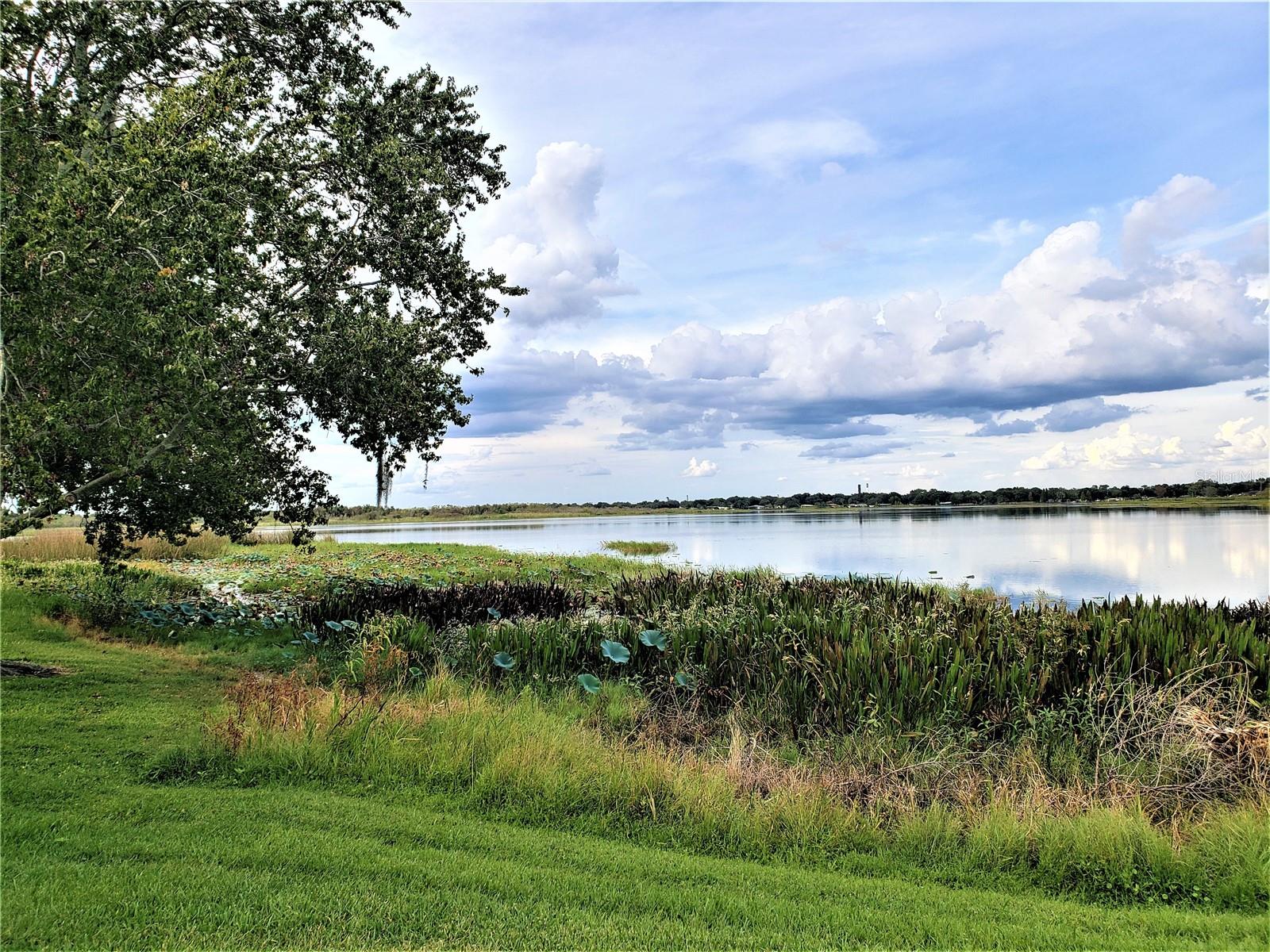 Image 38 of 43 For 1836 Crystal Lake Drive 12