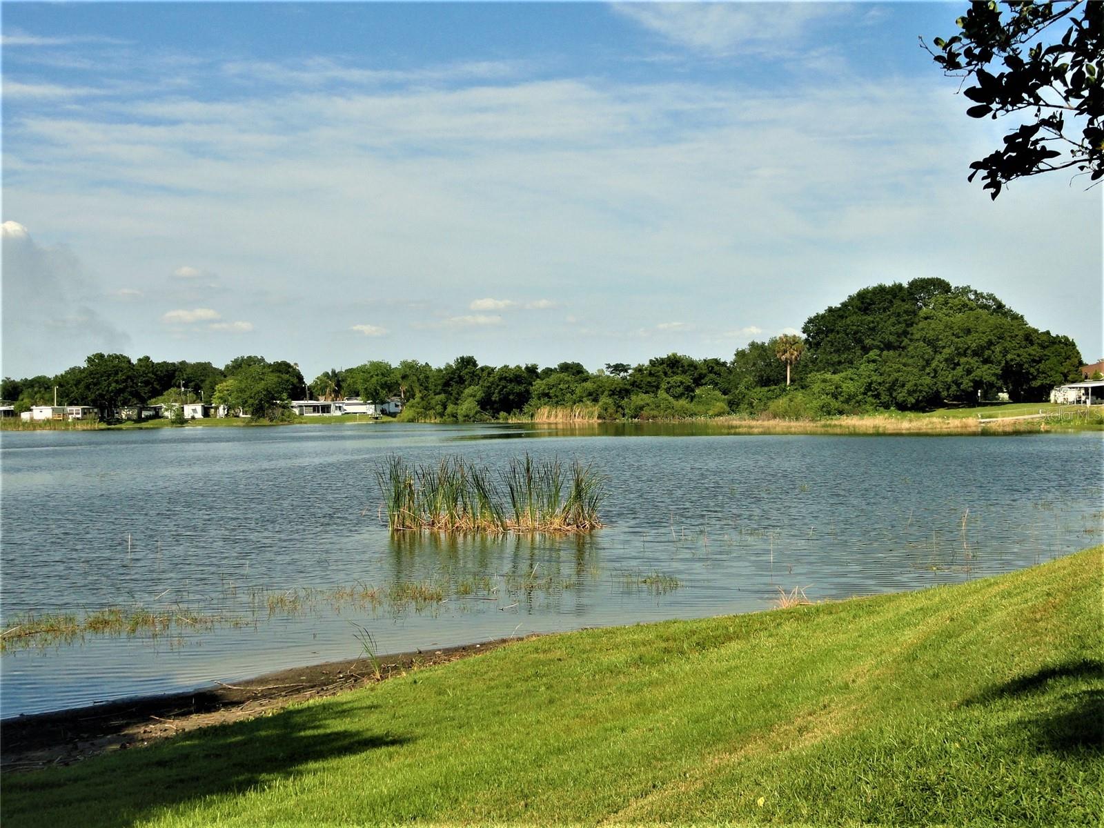 Image 41 of 43 For 1836 Crystal Lake Drive 12
