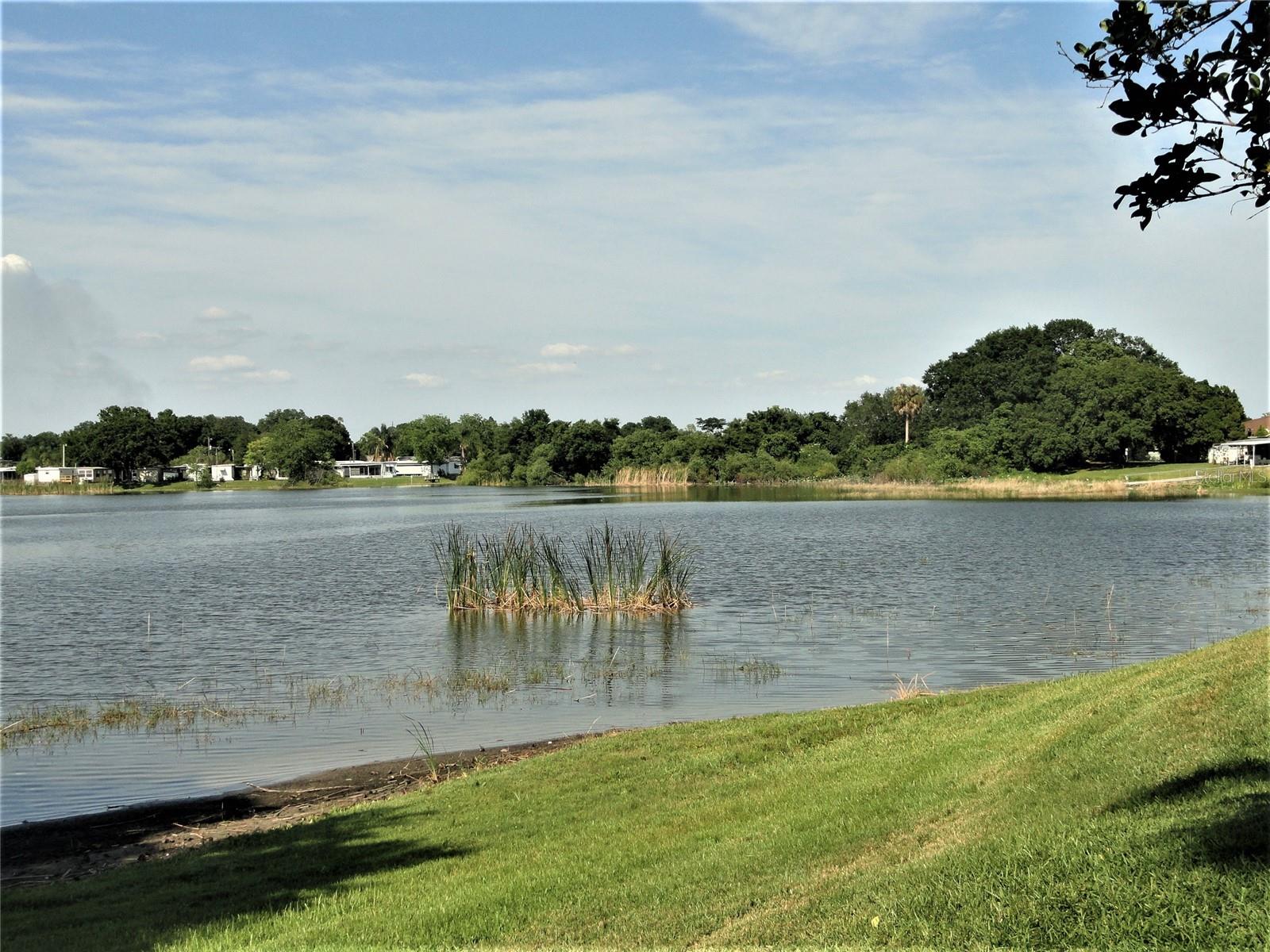 Image 42 of 43 For 1836 Crystal Lake Drive 12
