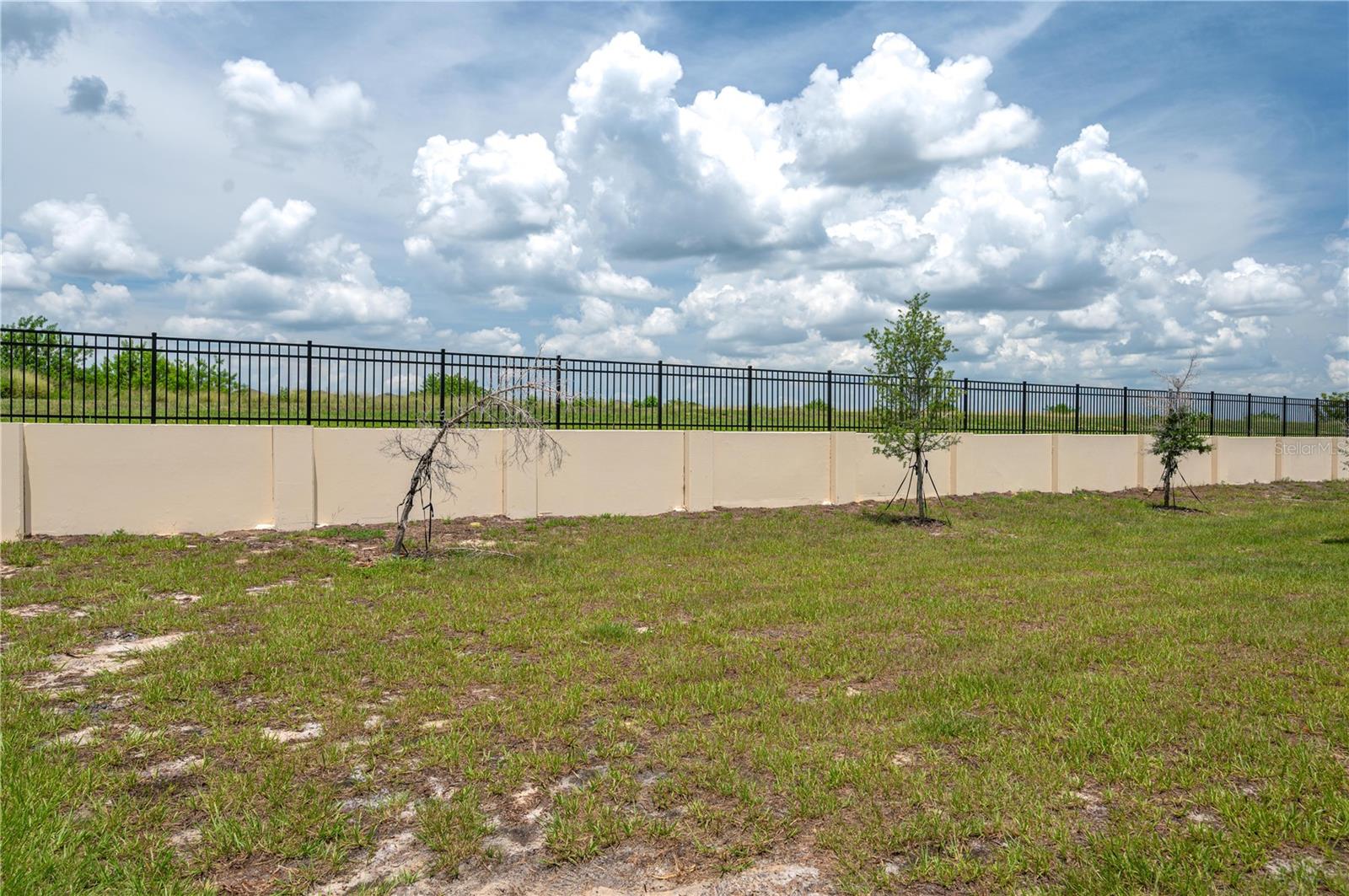 Image 3 of 27 For 2335 Selenia Street