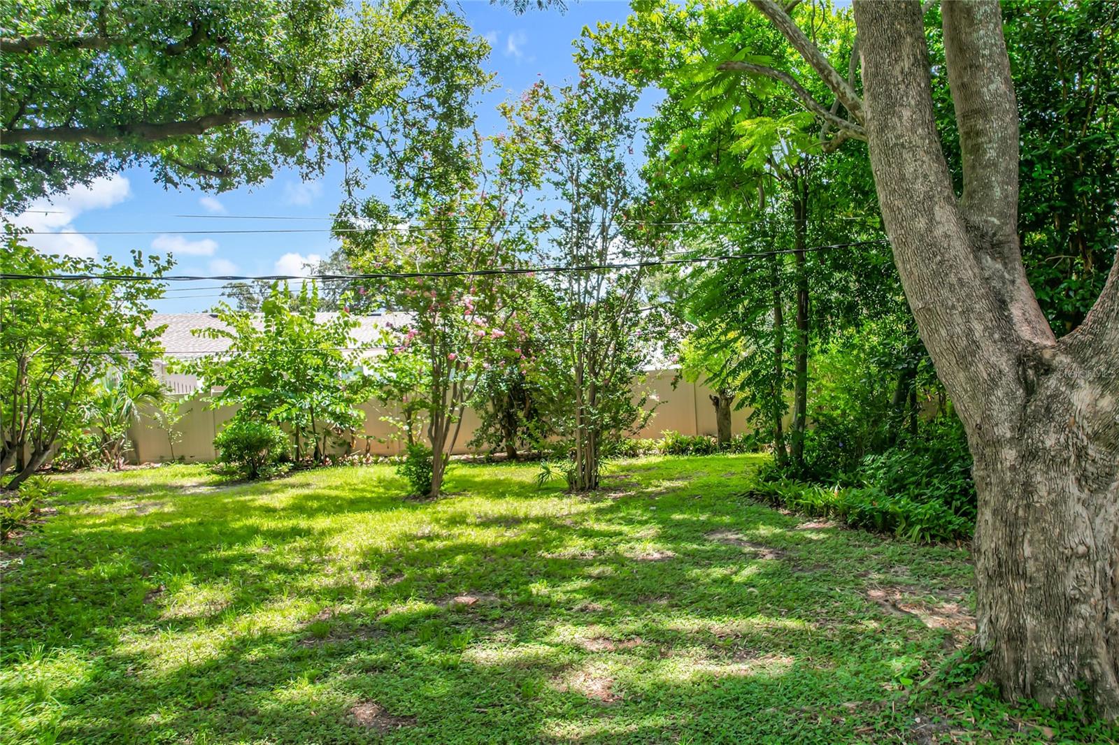 Image 50 of 56 For 1631 Monterey Lane