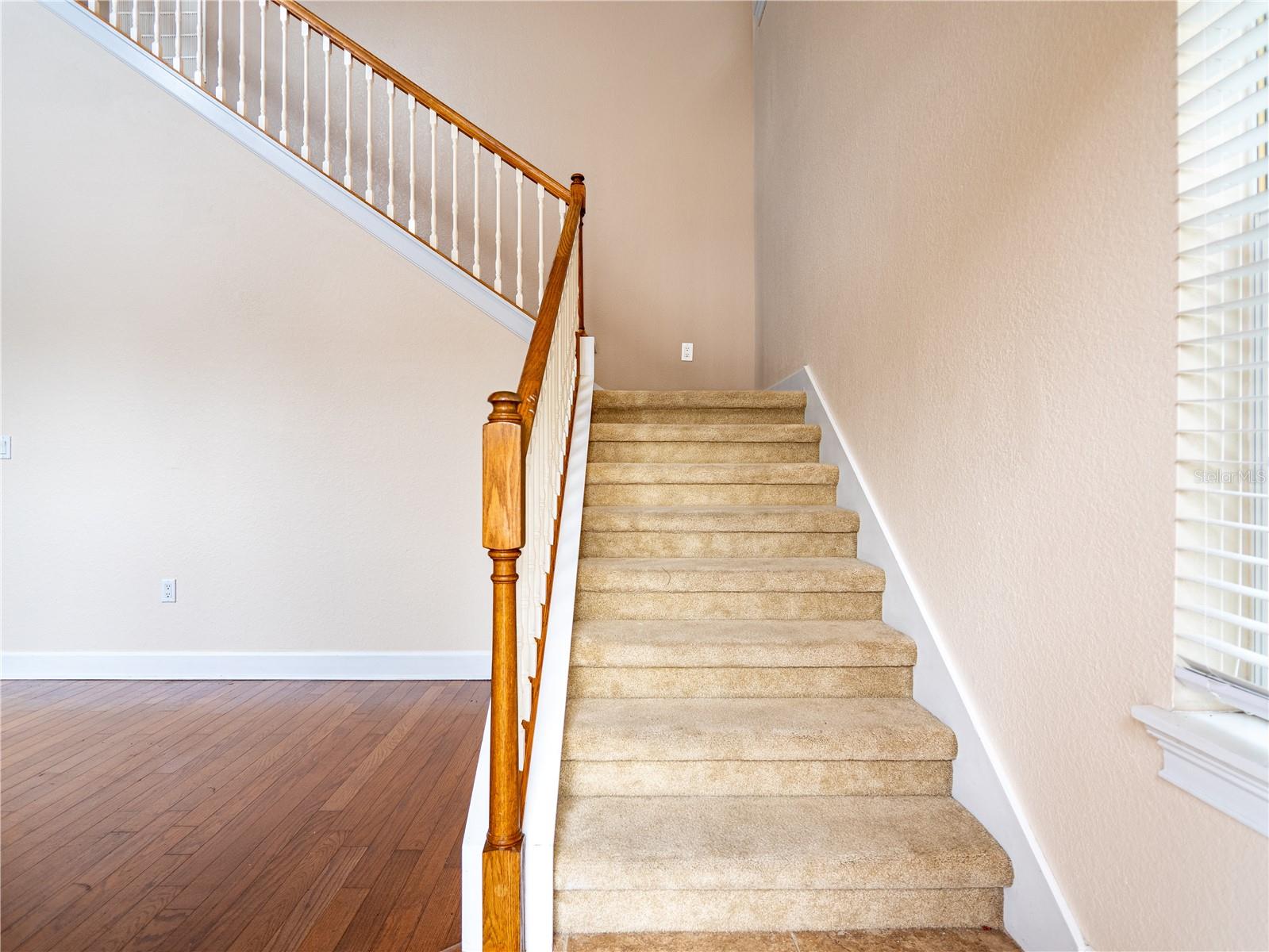 Image 4 of 13 For 273 Alexander Woods Drive