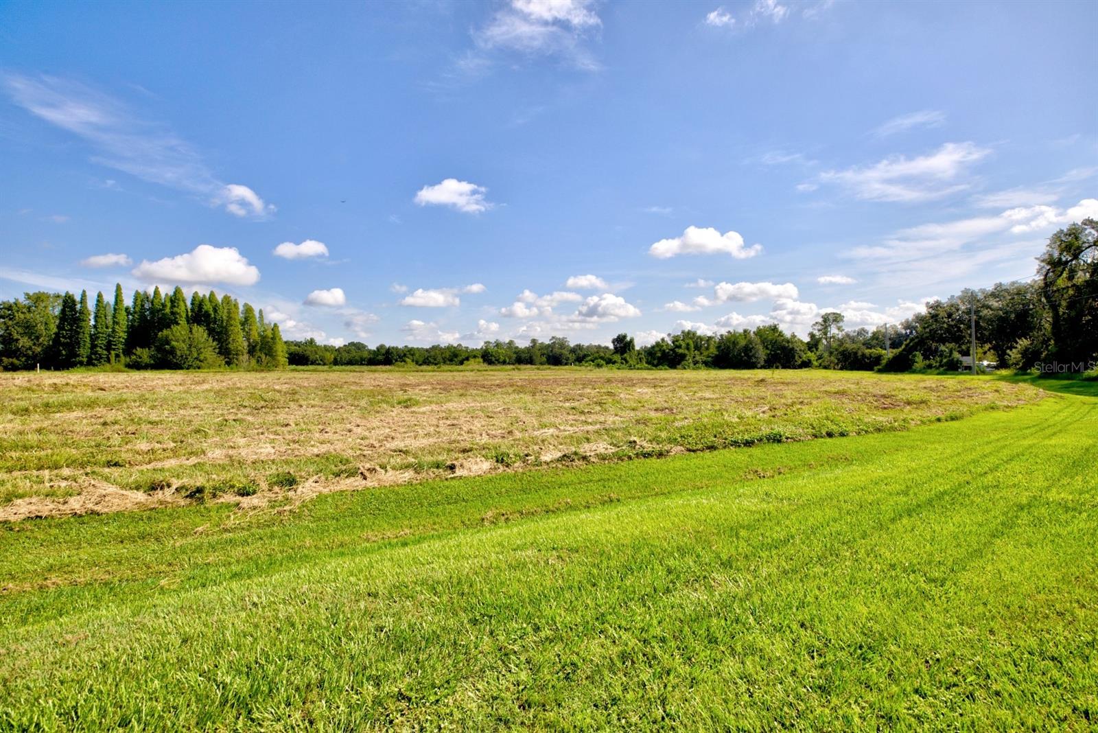 Image 6 of 22 For 4298 Pipkin Road
