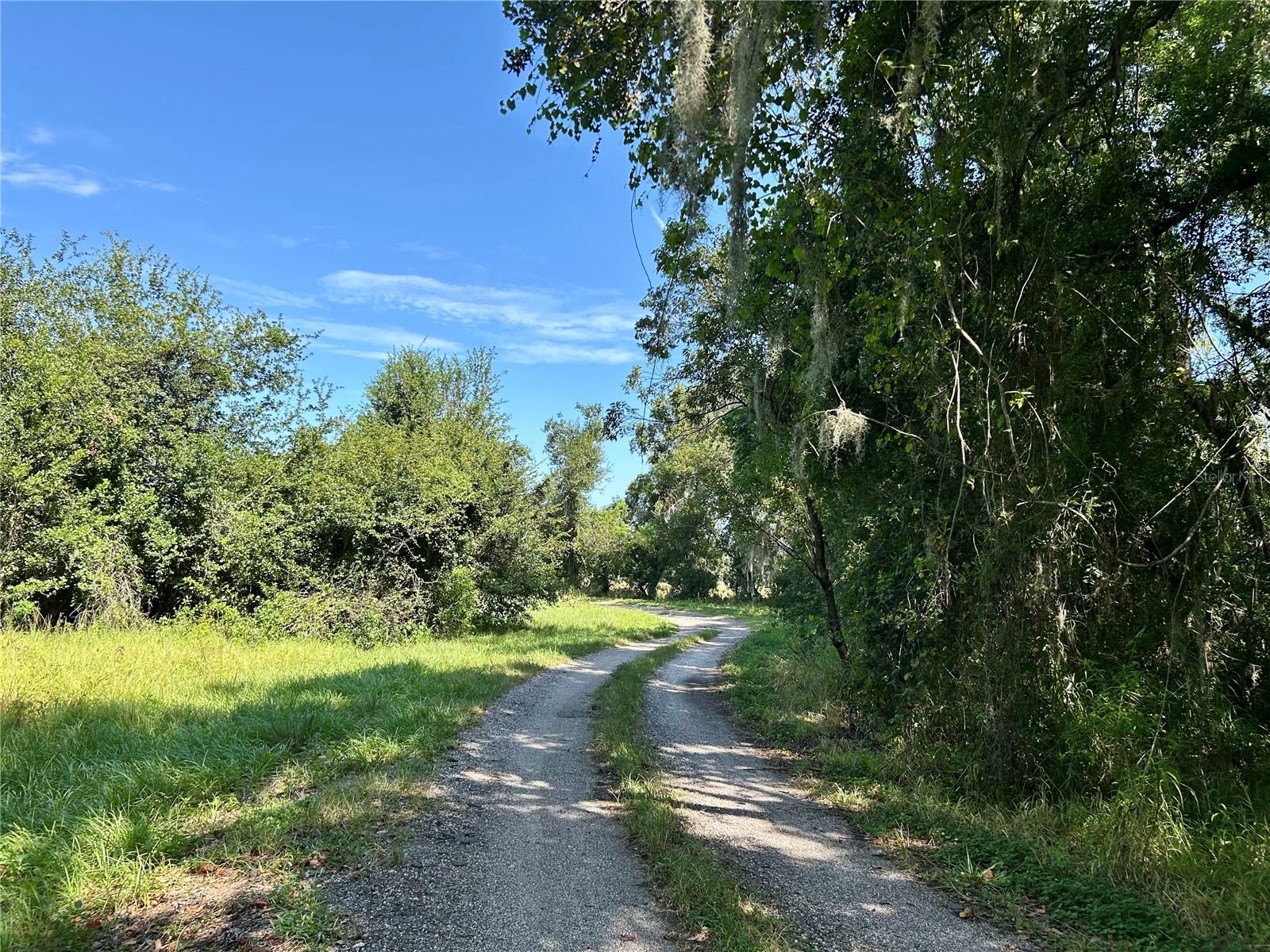 Image 11 of 58 For 1793 State Road 64 E