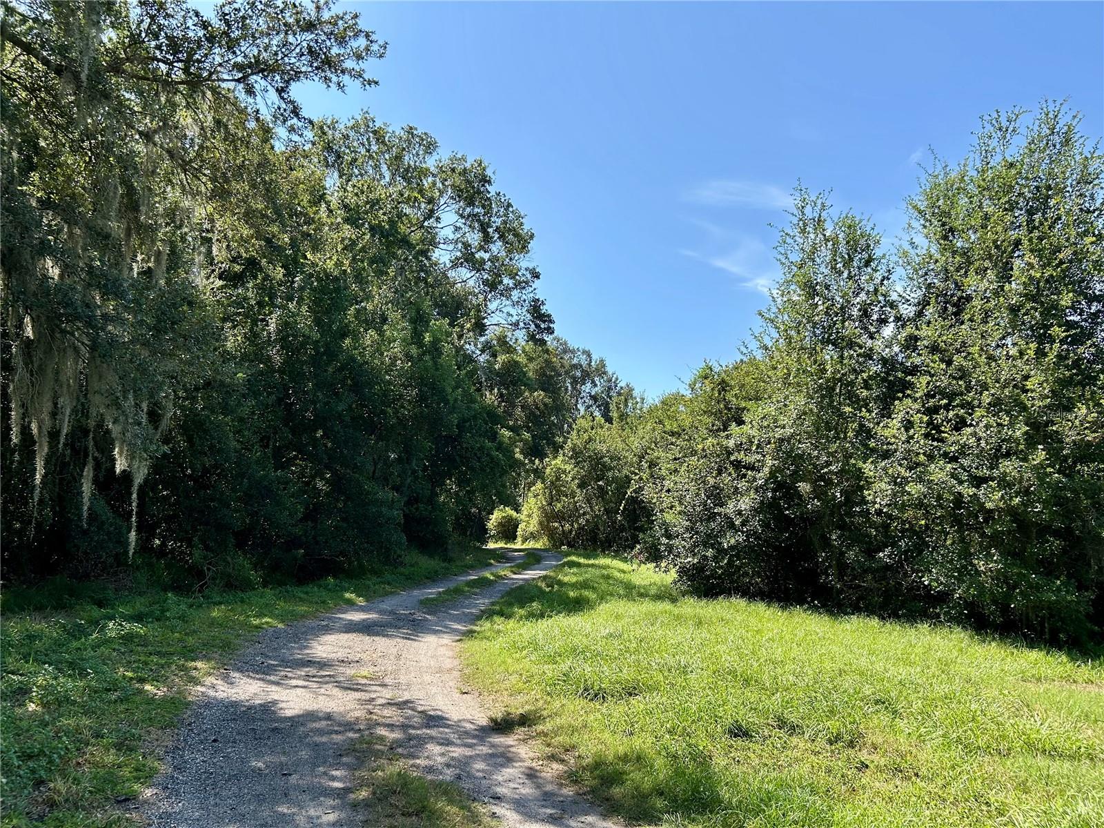 Image 12 of 58 For 1793 State Road 64 E