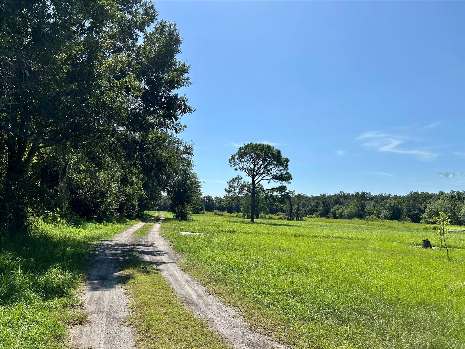 Image 16 of 58 For 1793 State Road 64 E